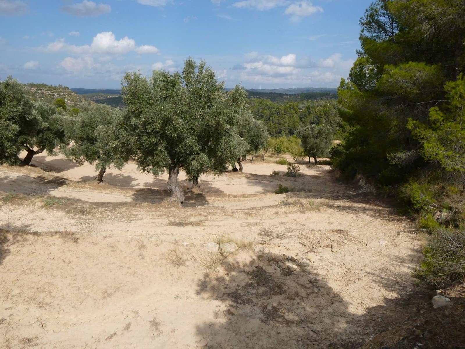Finca/Country House for sale in Calaceite - € 7,500 (Ref: 9226026)