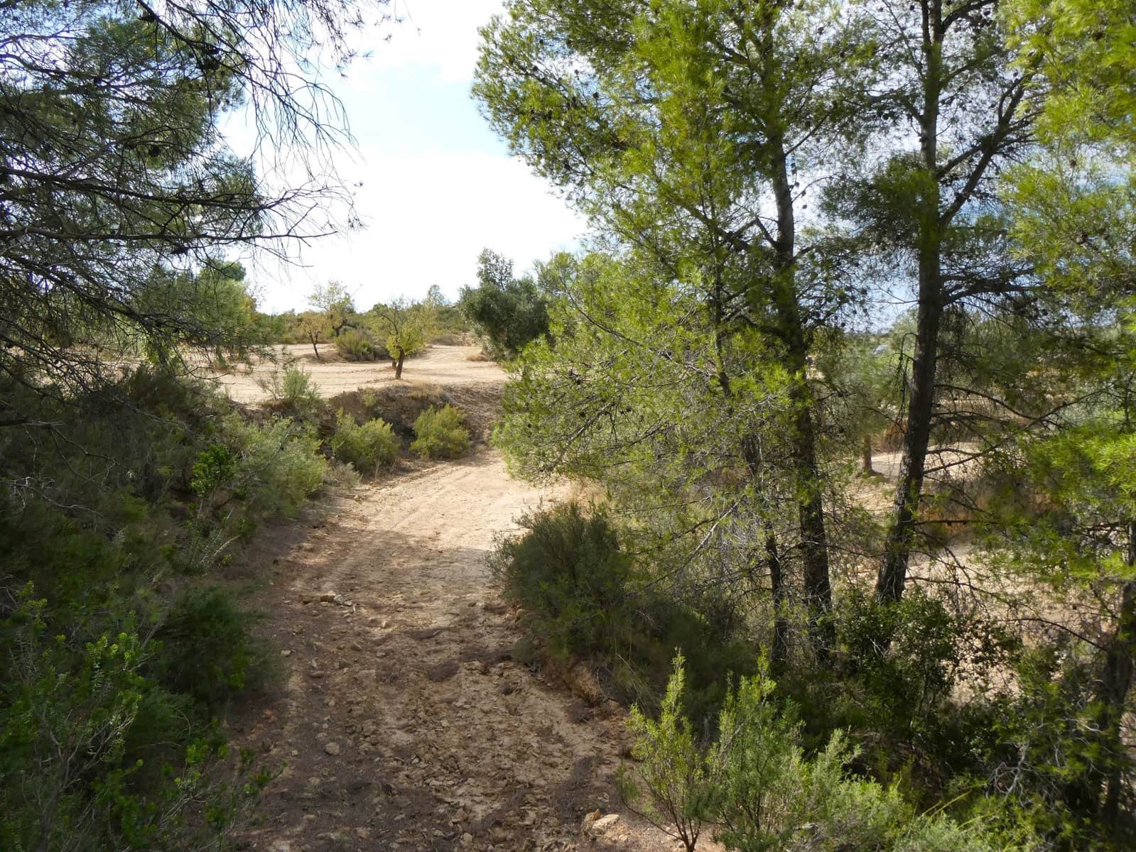 Finca/Country House for sale in Calaceite - € 7,500 (Ref: 9226026)