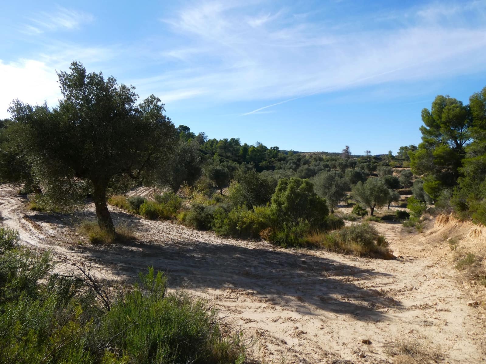 Finca/Landehus til salg i Maella - € 15.500 (Ref: 9263348)