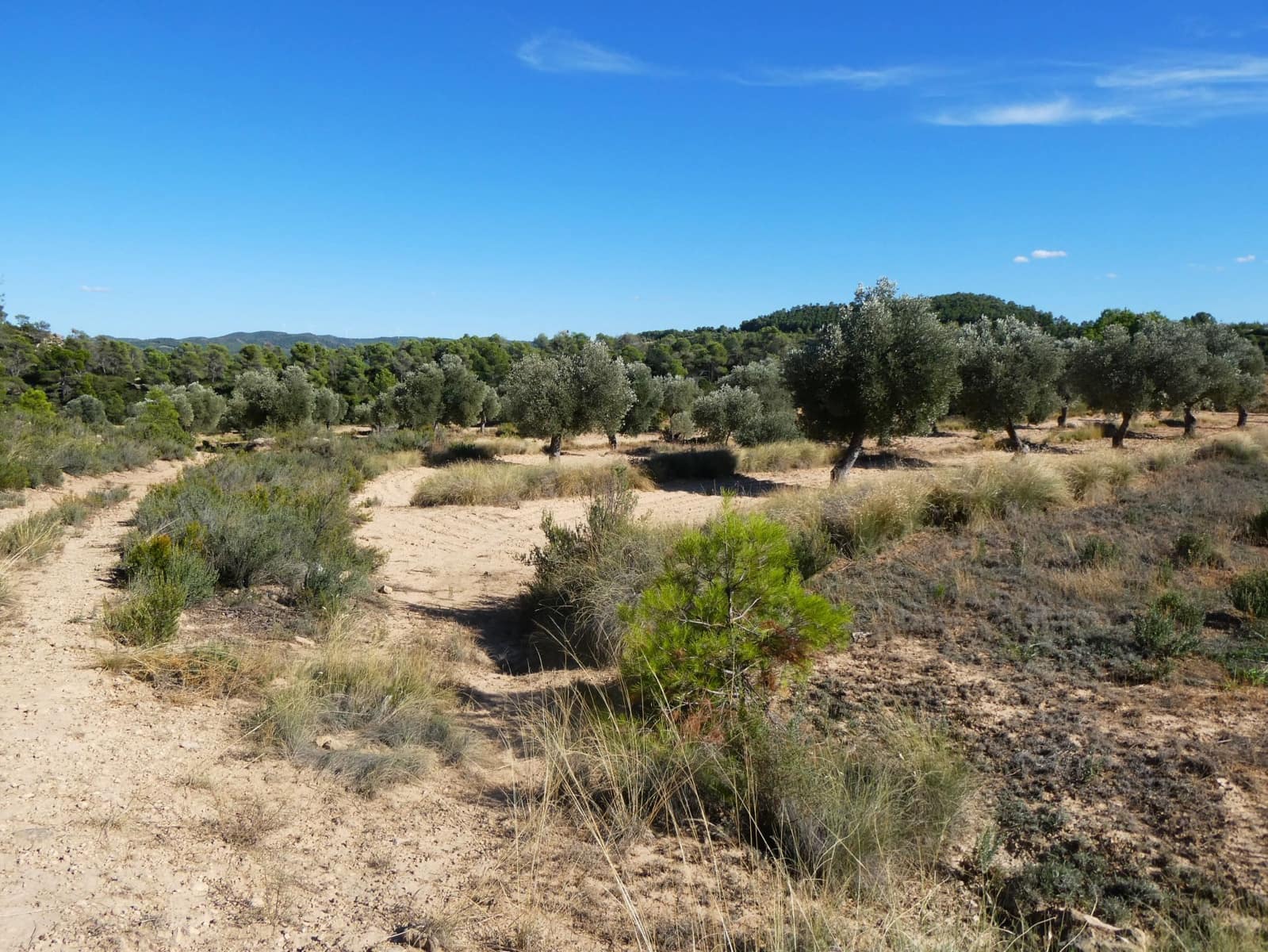 Finca/Landehus til salg i Maella - € 15.500 (Ref: 9263348)