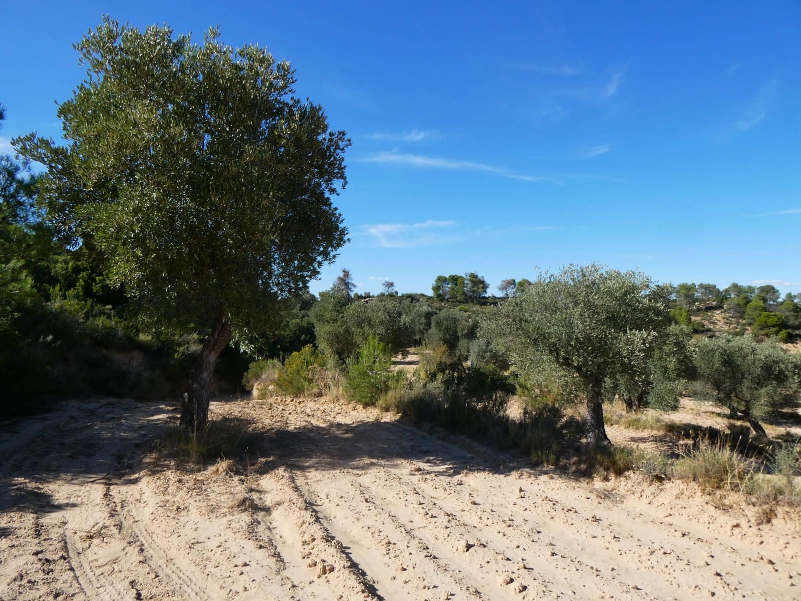 Finca/Landehus til salg i Maella - € 15.500 (Ref: 9263348)