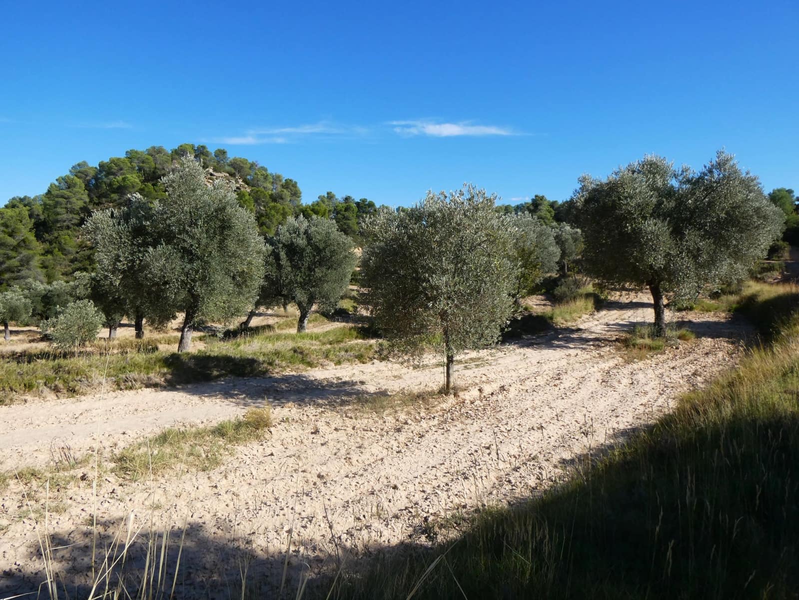 Finca/Landehus til salg i Maella - € 15.500 (Ref: 9263348)