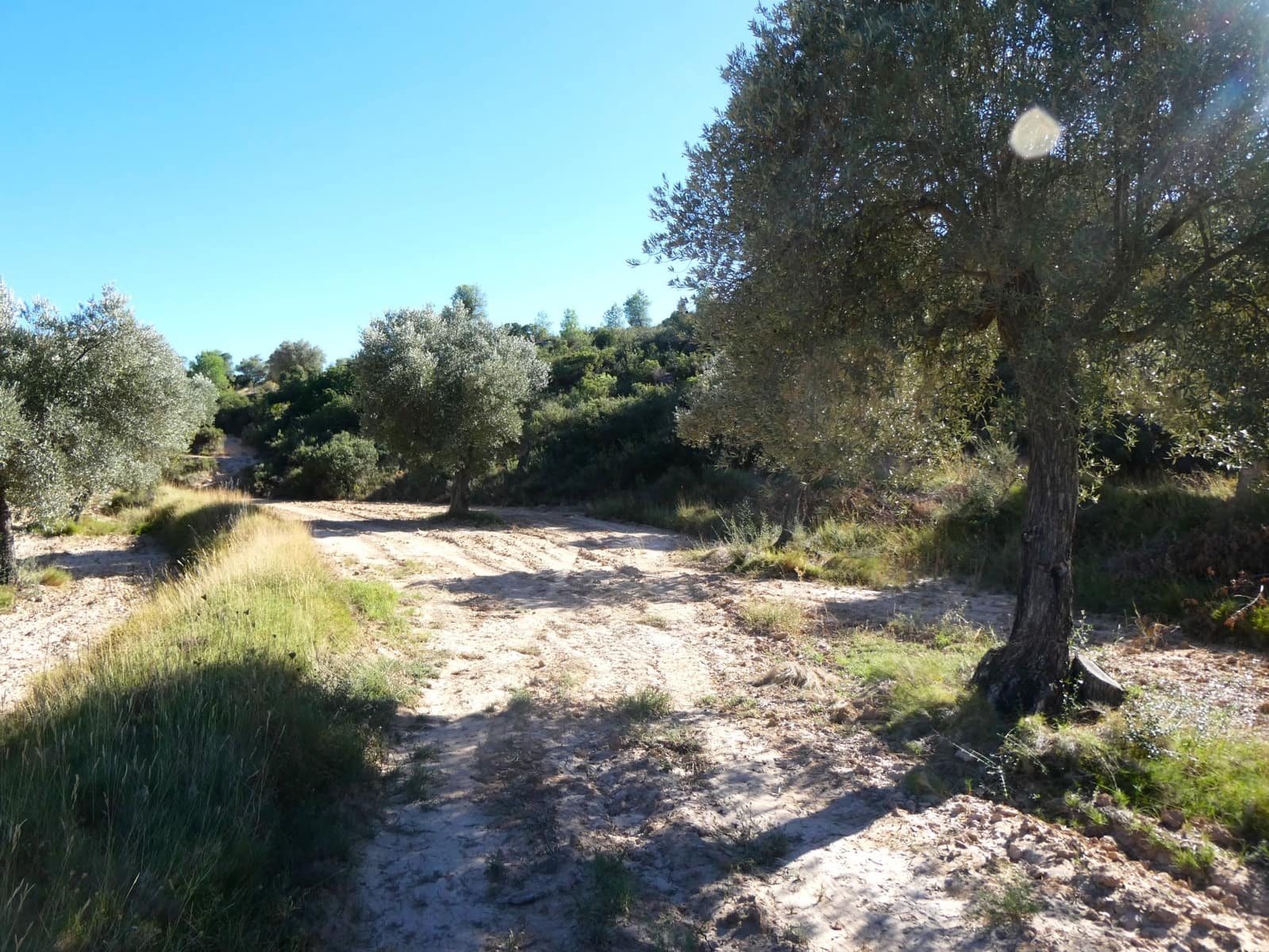 Finca/Landehus til salg i Maella - € 15.500 (Ref: 9263348)