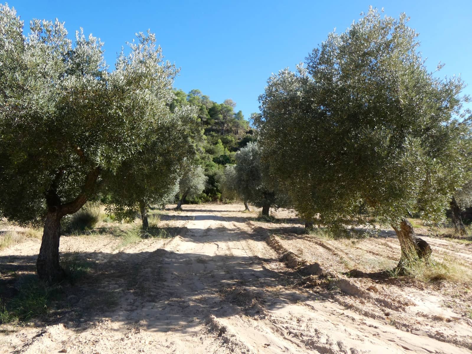 Finca/Landehus til salg i Maella - € 15.500 (Ref: 9263348)