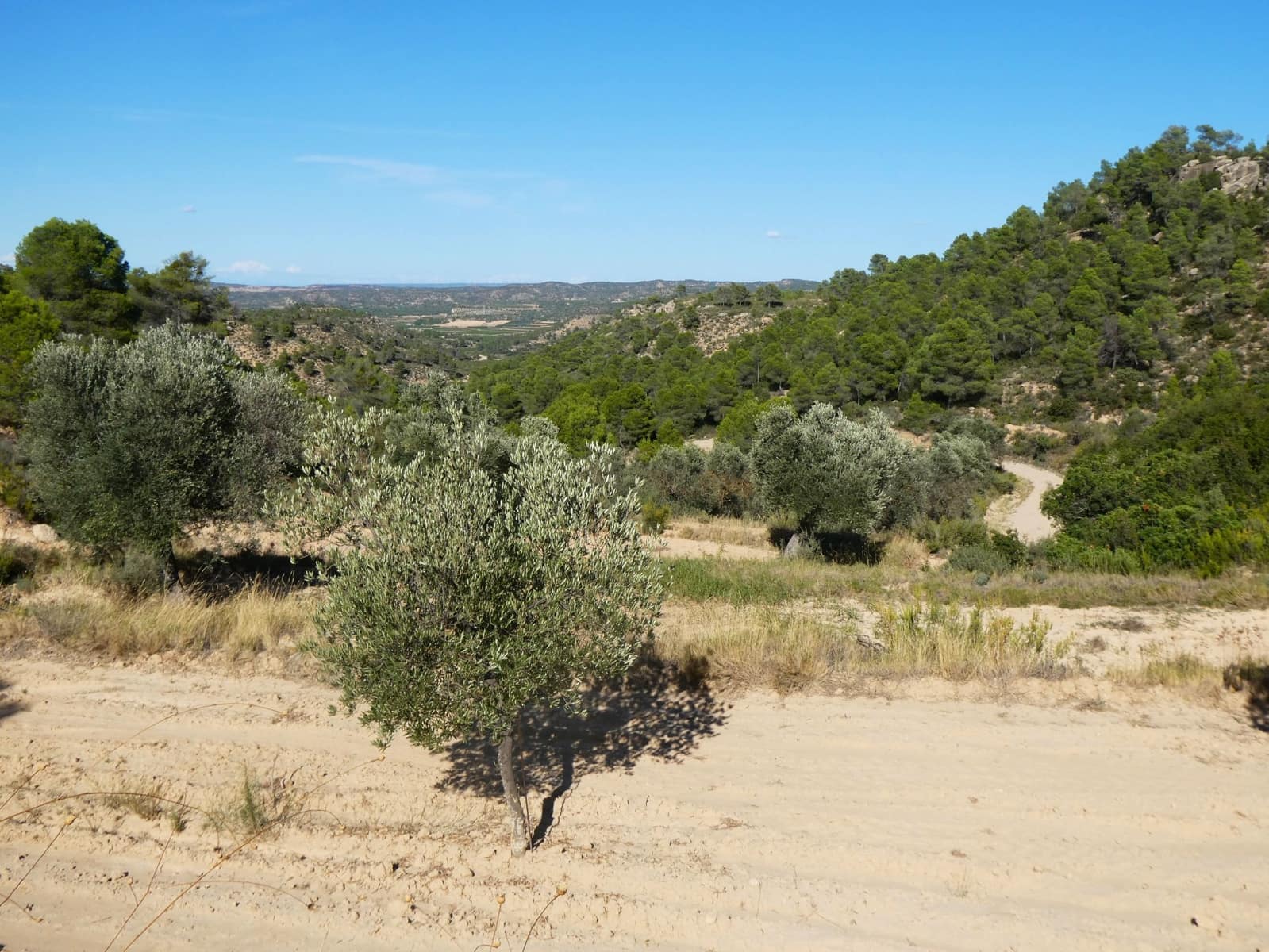 Finca/Landehus til salg i Maella - € 15.500 (Ref: 9263348)