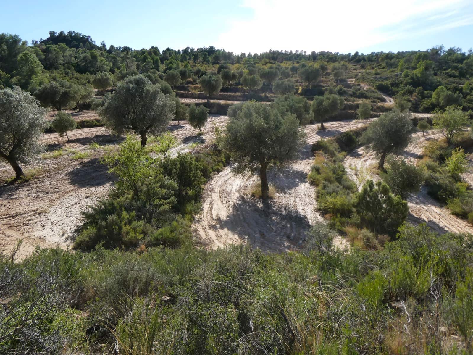 Finca/Landehus til salg i Maella - € 15.500 (Ref: 9263348)
