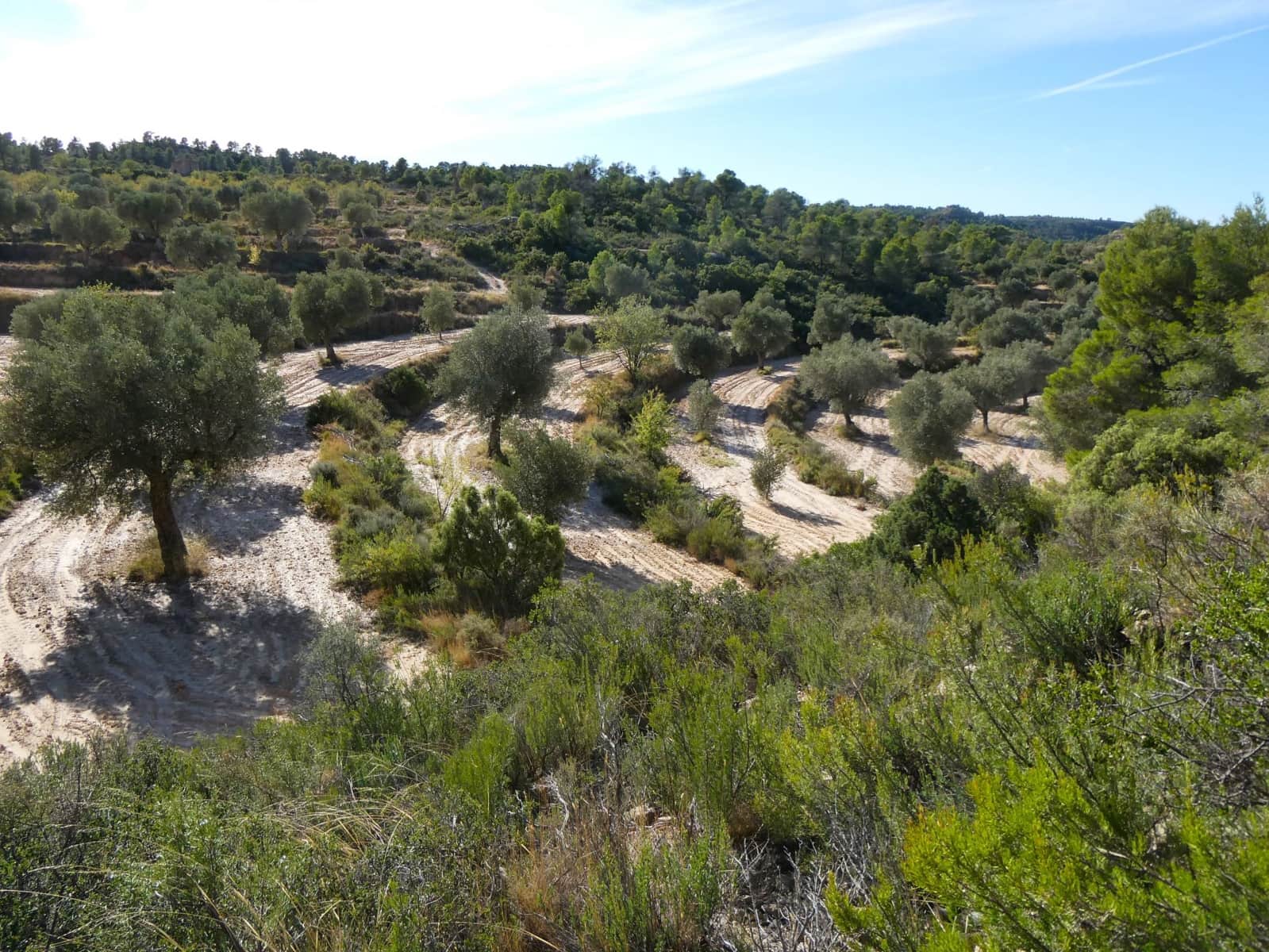 Finca/Landehus til salg i Maella - € 15.500 (Ref: 9263348)