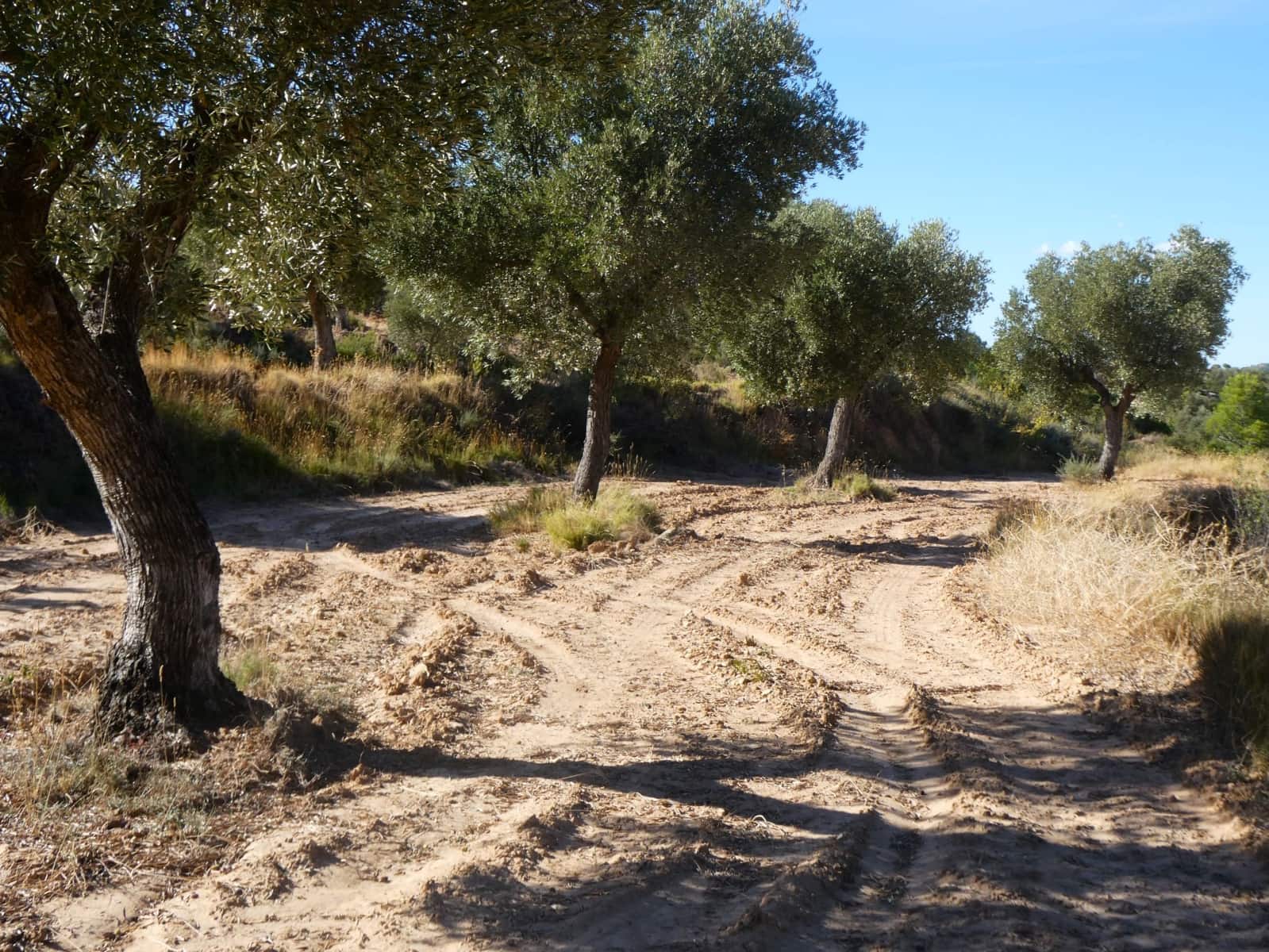 Finca/Landehus til salg i Maella - € 15.500 (Ref: 9263348)