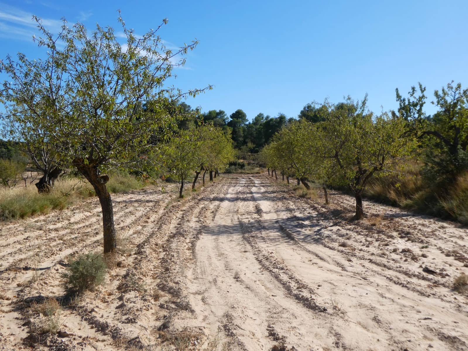 Finca/Landehus til salg i Maella - € 15.500 (Ref: 9263348)