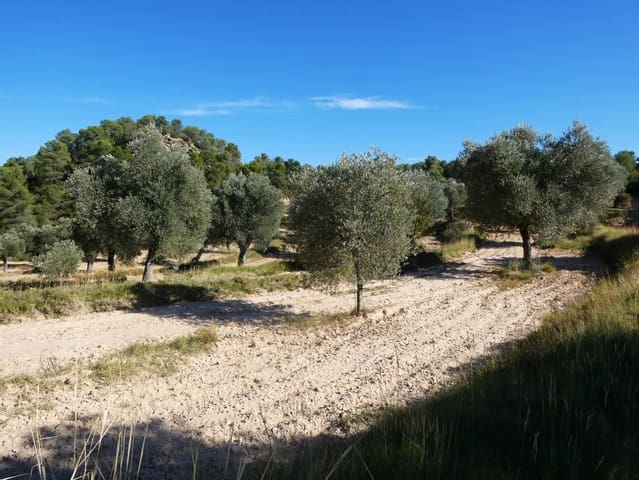 Finka/Dom wiejski na sprzedaż w Maella - 15 500 € (Ref: 9263348)