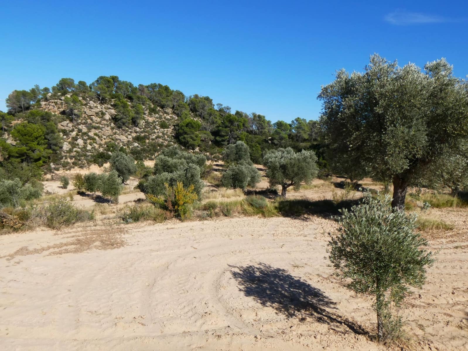 Finca/Landehus til salg i Maella - € 15.500 (Ref: 9263348)
