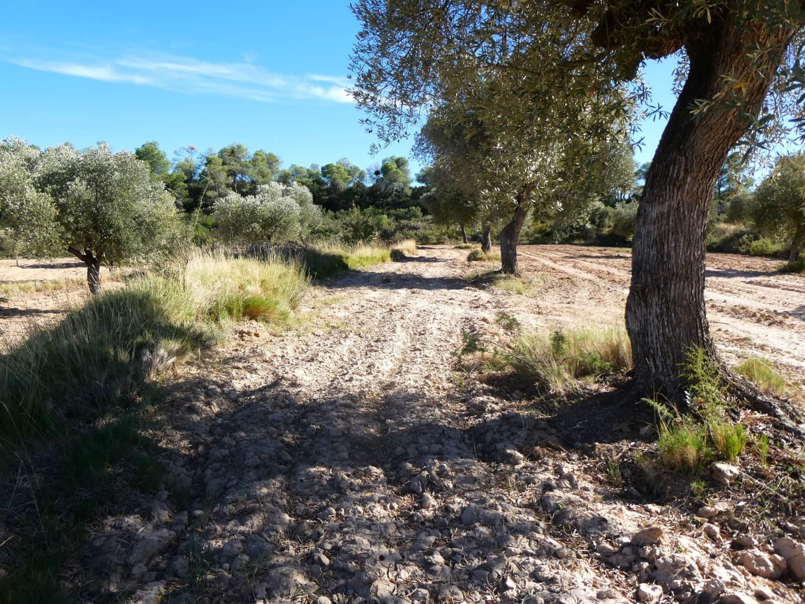 Finca/Landehus til salg i Maella - € 15.500 (Ref: 9263348)