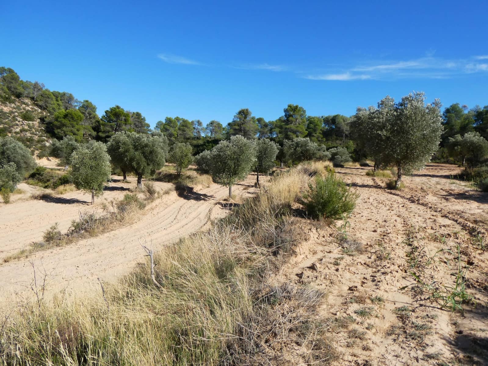 Finca/Landehus til salg i Maella - € 15.500 (Ref: 9263348)