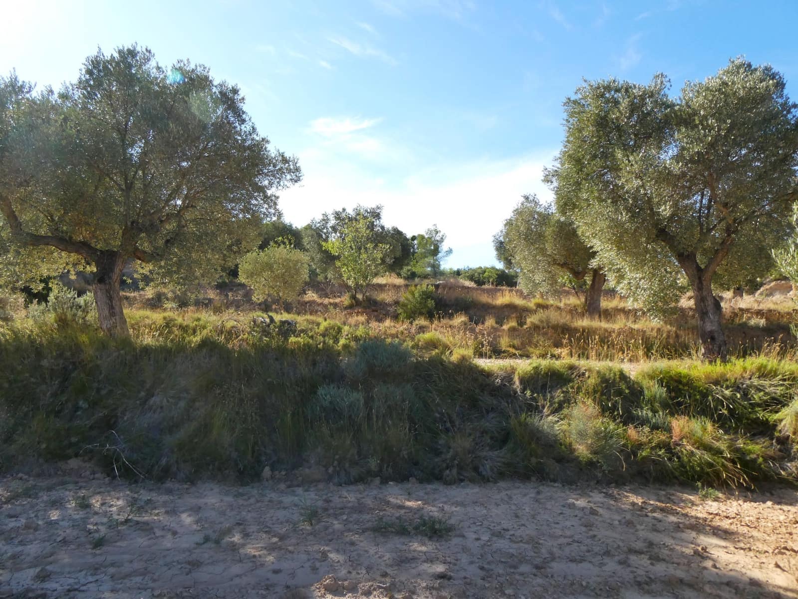 Finca/Landehus til salg i Maella - € 15.500 (Ref: 9263348)
