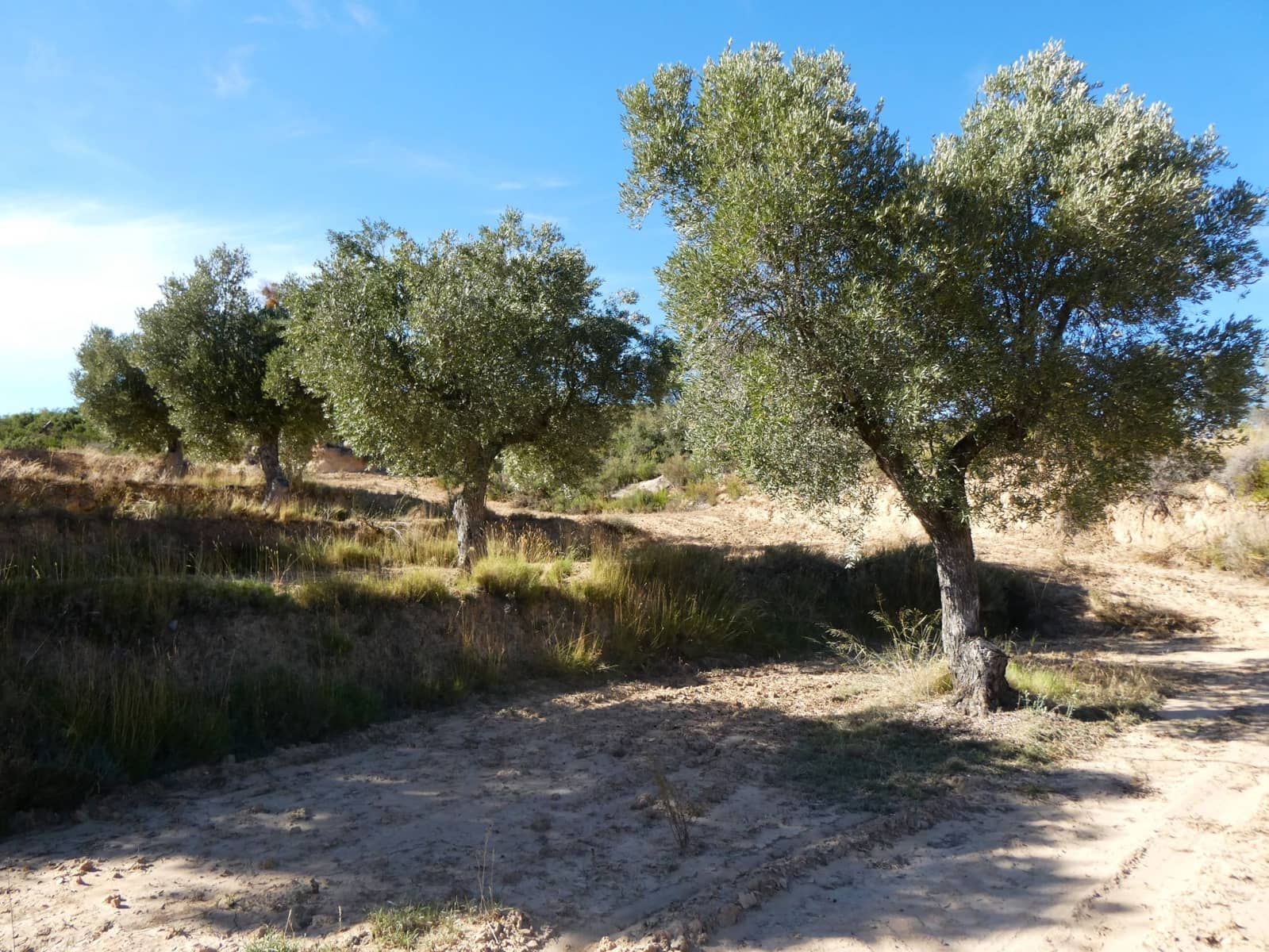 Finca/Landehus til salg i Maella - € 15.500 (Ref: 9263348)