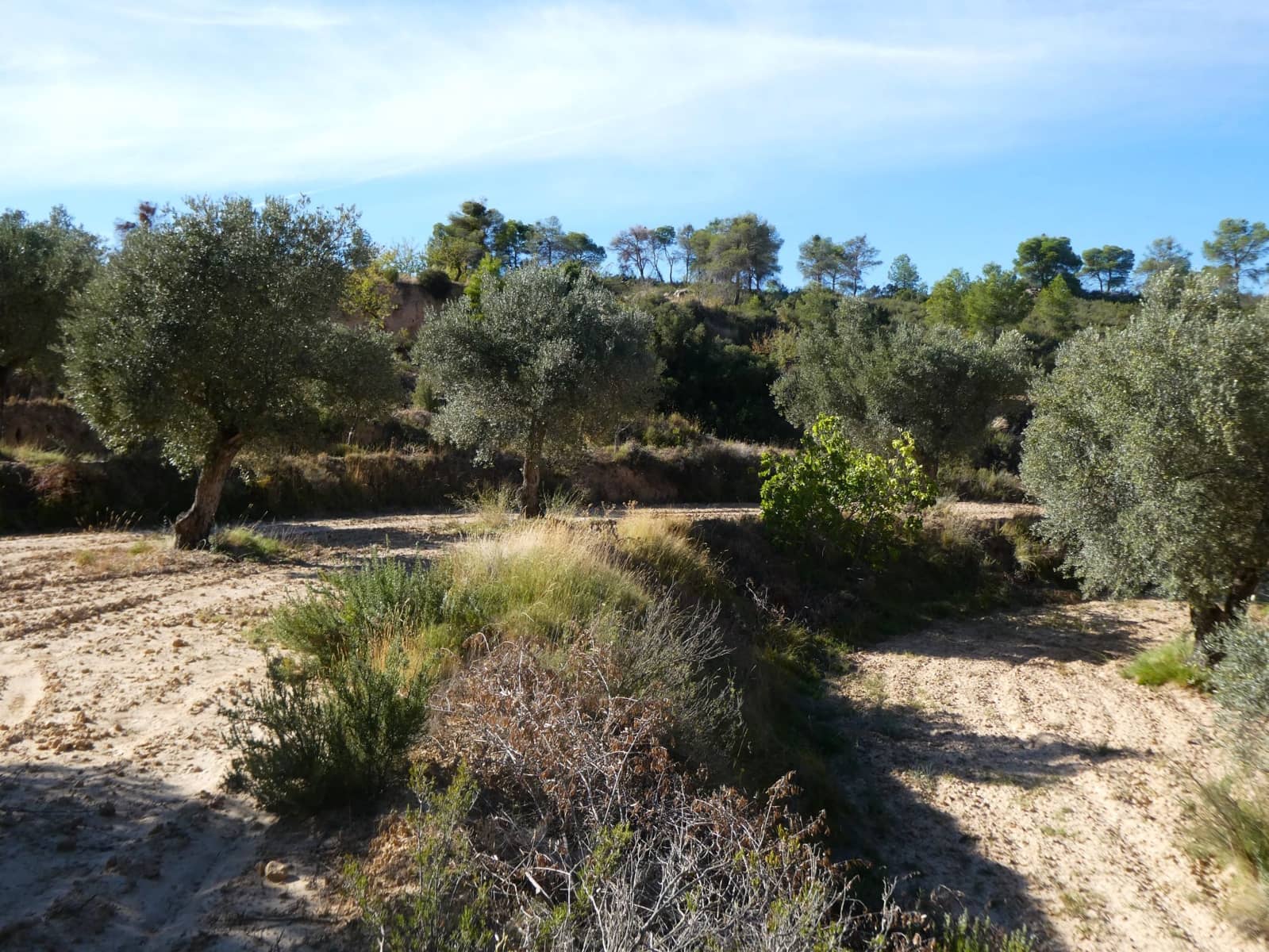 Finca/Landehus til salg i Maella - € 15.500 (Ref: 9263348)