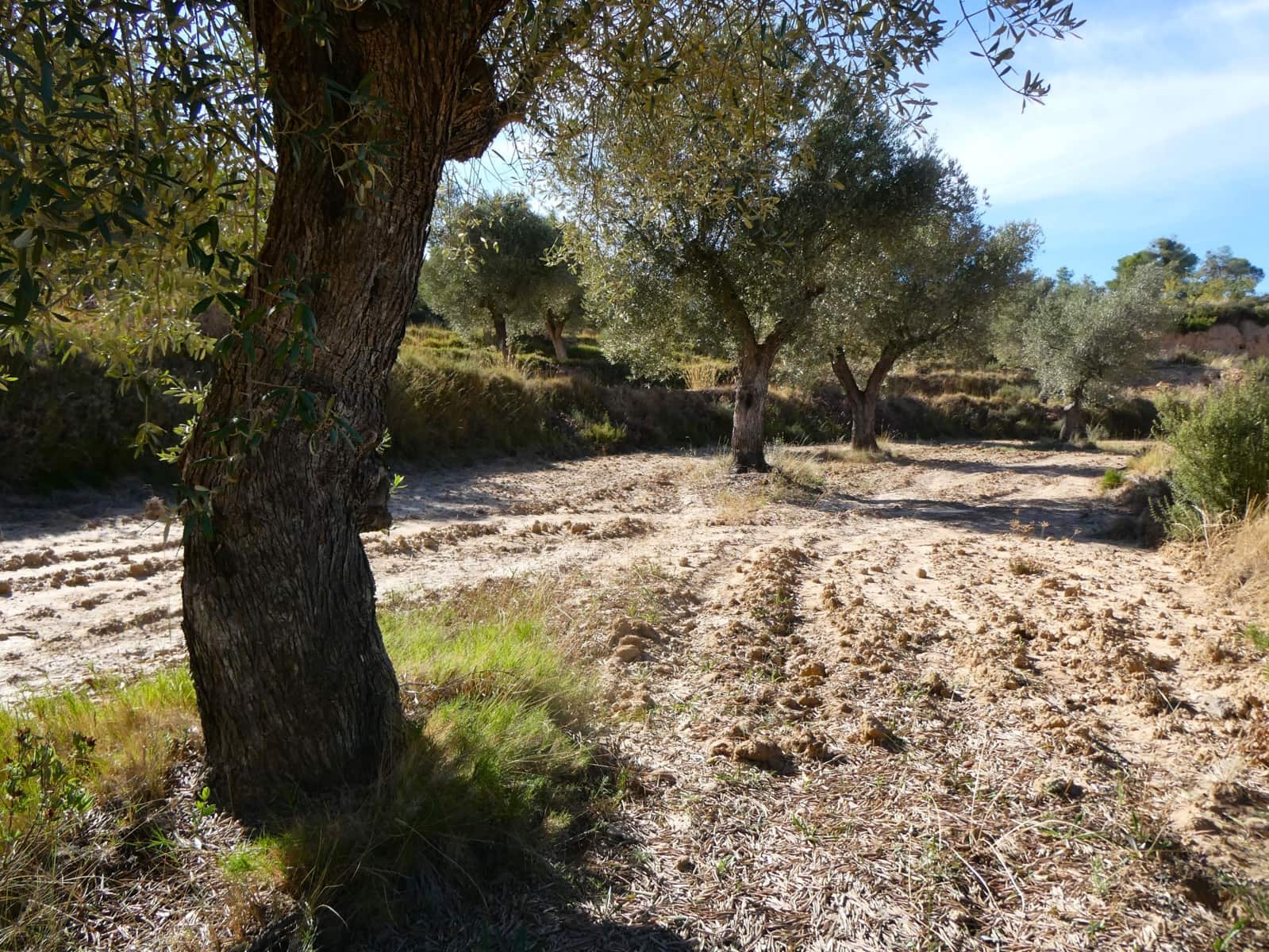 Finca/Landehus til salg i Maella - € 15.500 (Ref: 9263348)