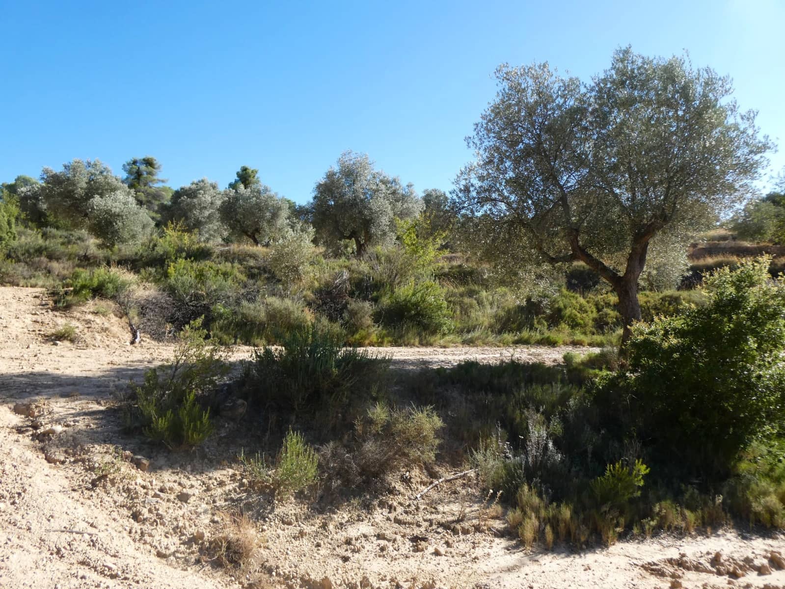 Finca/Landehus til salg i Maella - € 15.500 (Ref: 9263348)