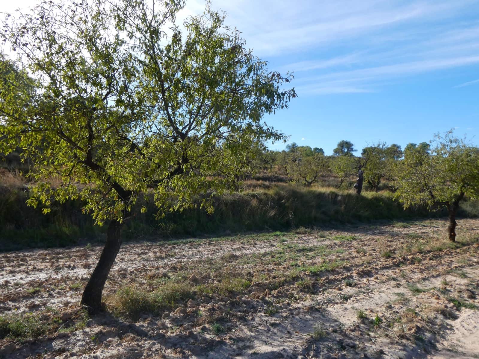 Finca/Landehus til salg i Maella - € 15.500 (Ref: 9263348)