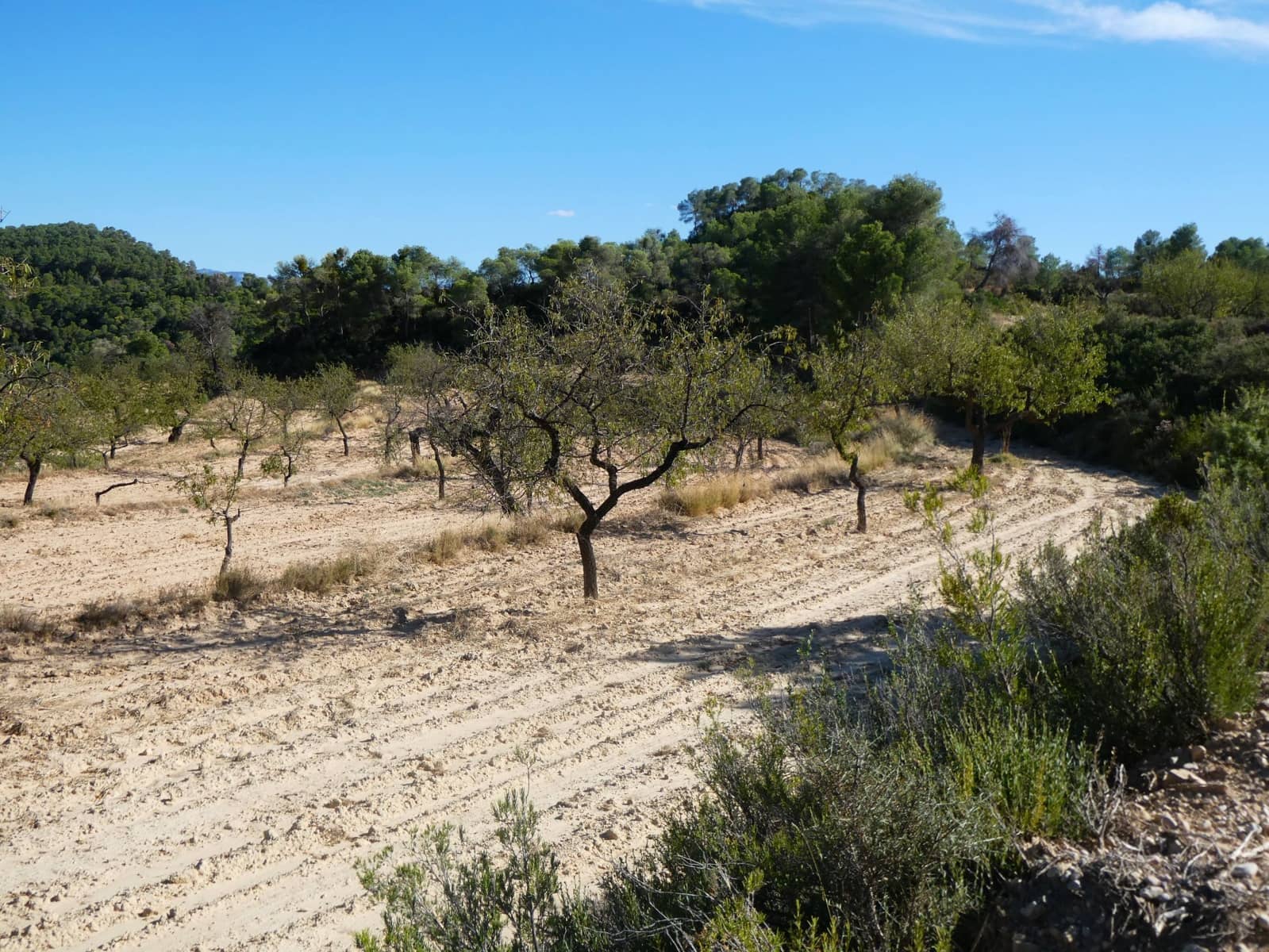 Finca/Landehus til salg i Maella - € 15.500 (Ref: 9263348)