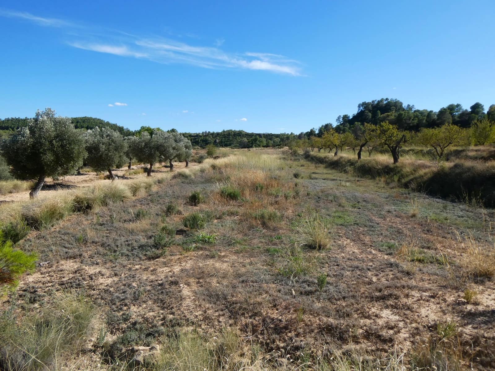 Finca/Landehus til salg i Maella - € 15.500 (Ref: 9263348)