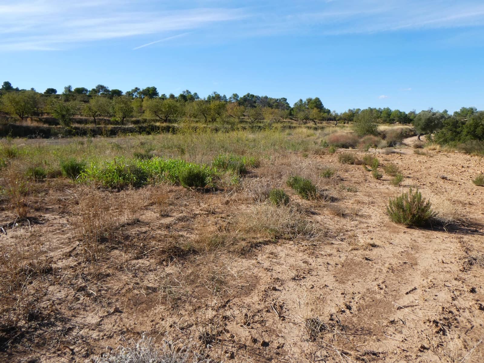 Finca/Landehus til salg i Maella - € 15.500 (Ref: 9263348)