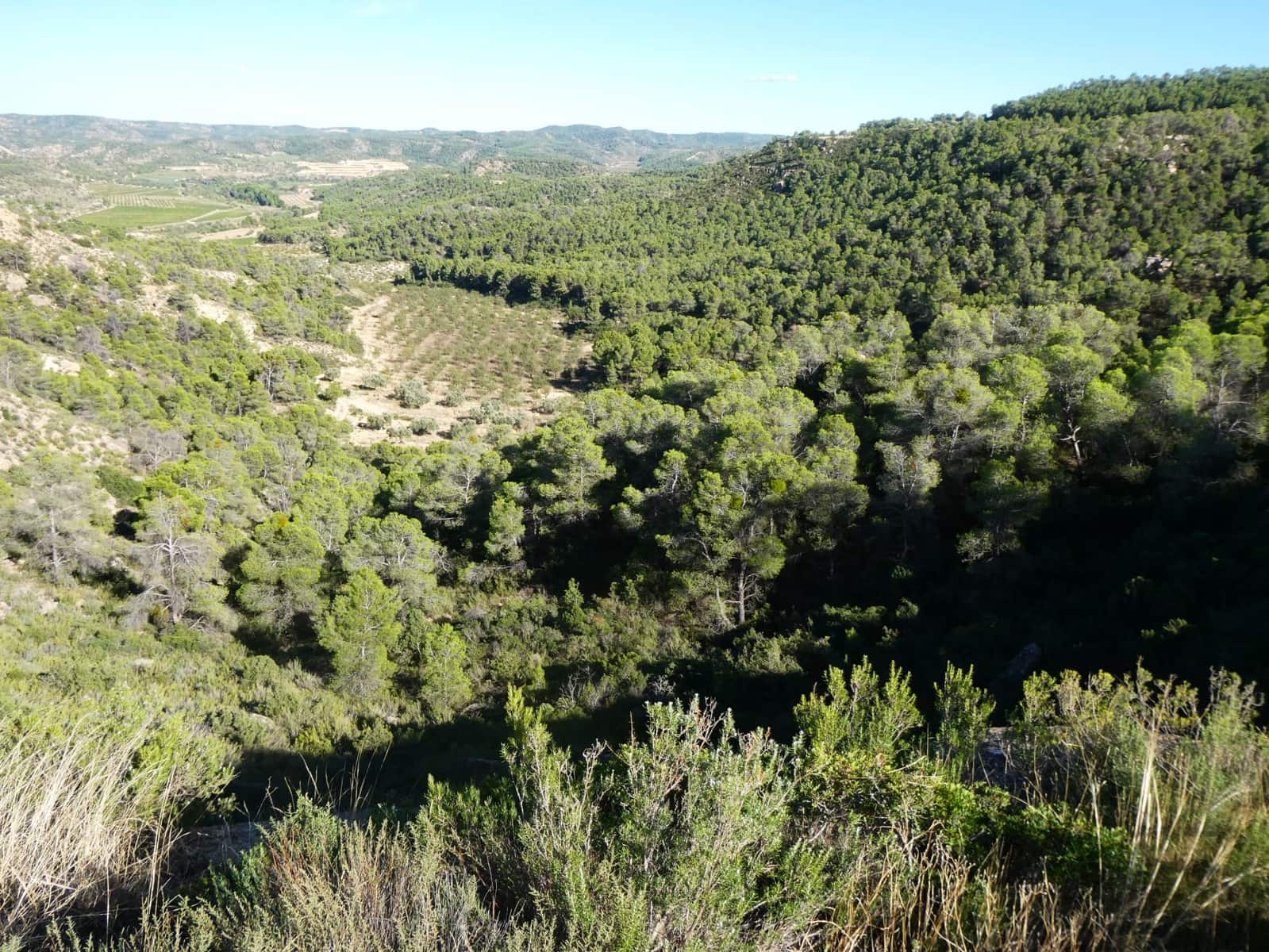 Finca/Landehus til salg i Maella - € 15.500 (Ref: 9263348)