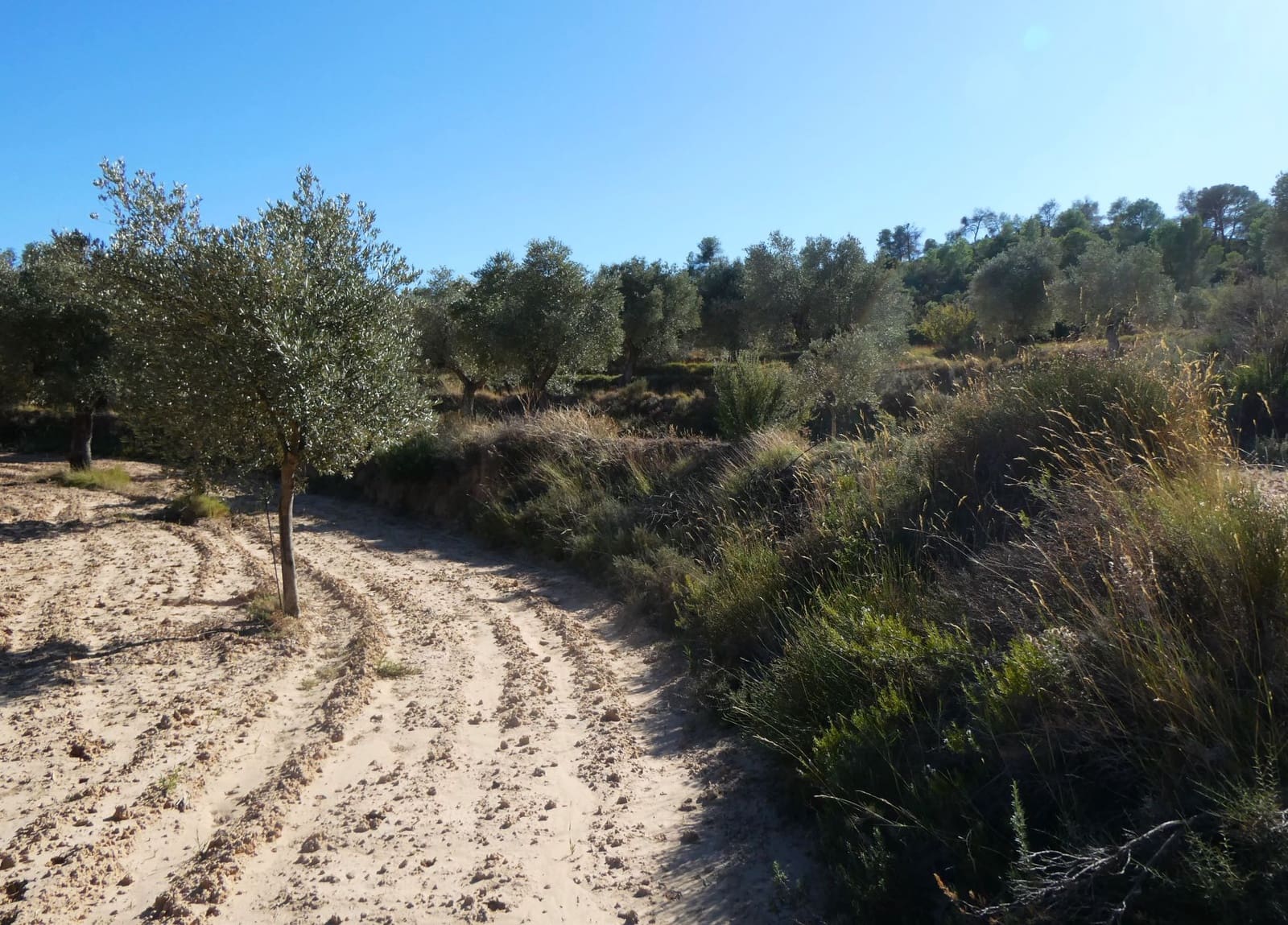 Finca/Landehus til salg i Maella - € 15.500 (Ref: 9263348)