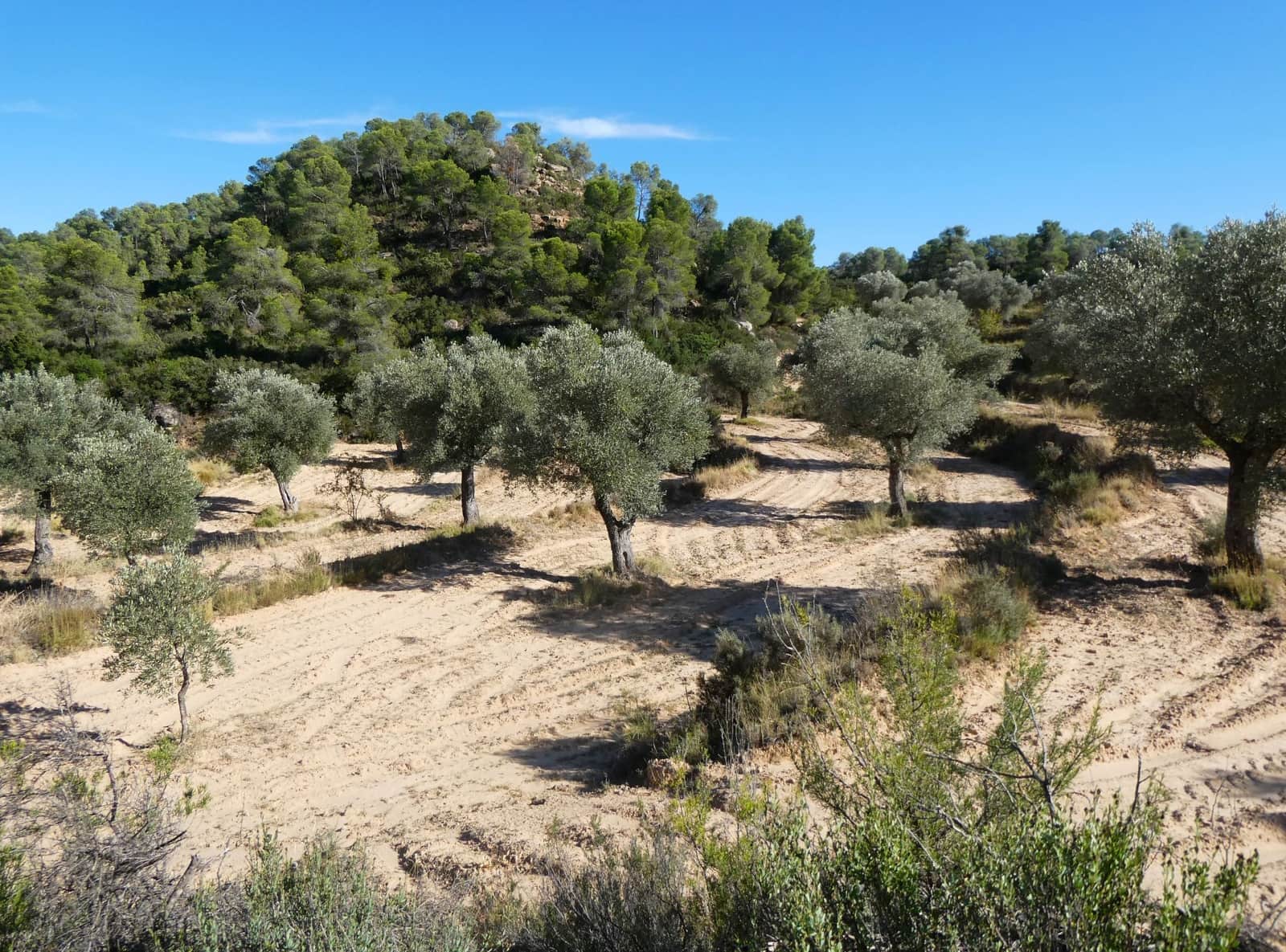 Finca/Landehus til salg i Maella - € 15.500 (Ref: 9263348)