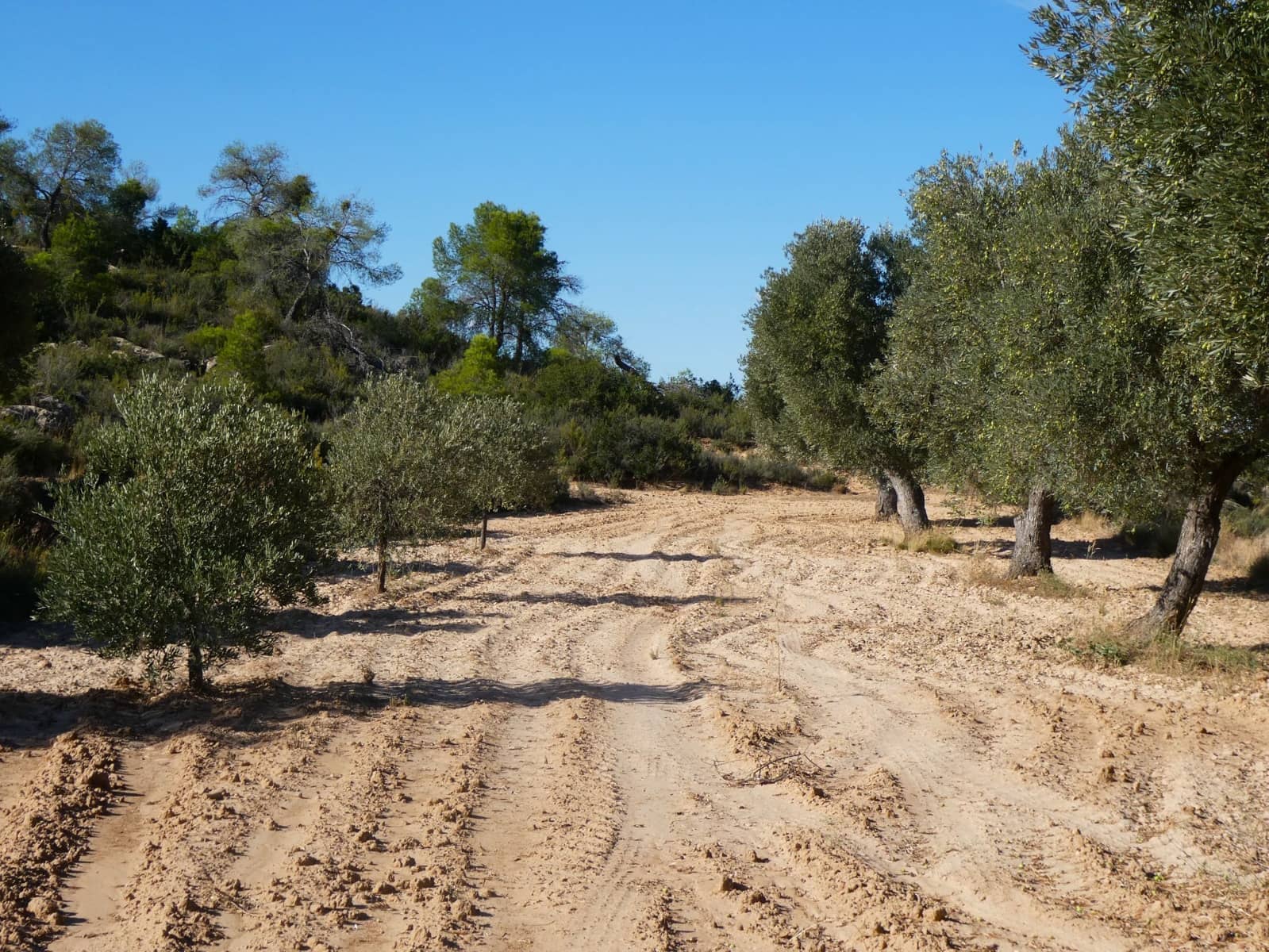 Finca/Landehus til salg i Maella - € 15.500 (Ref: 9263348)