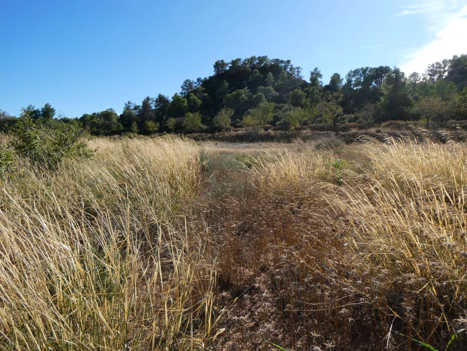 Finca/Landehus til salg i Maella - € 15.500 (Ref: 9263348)