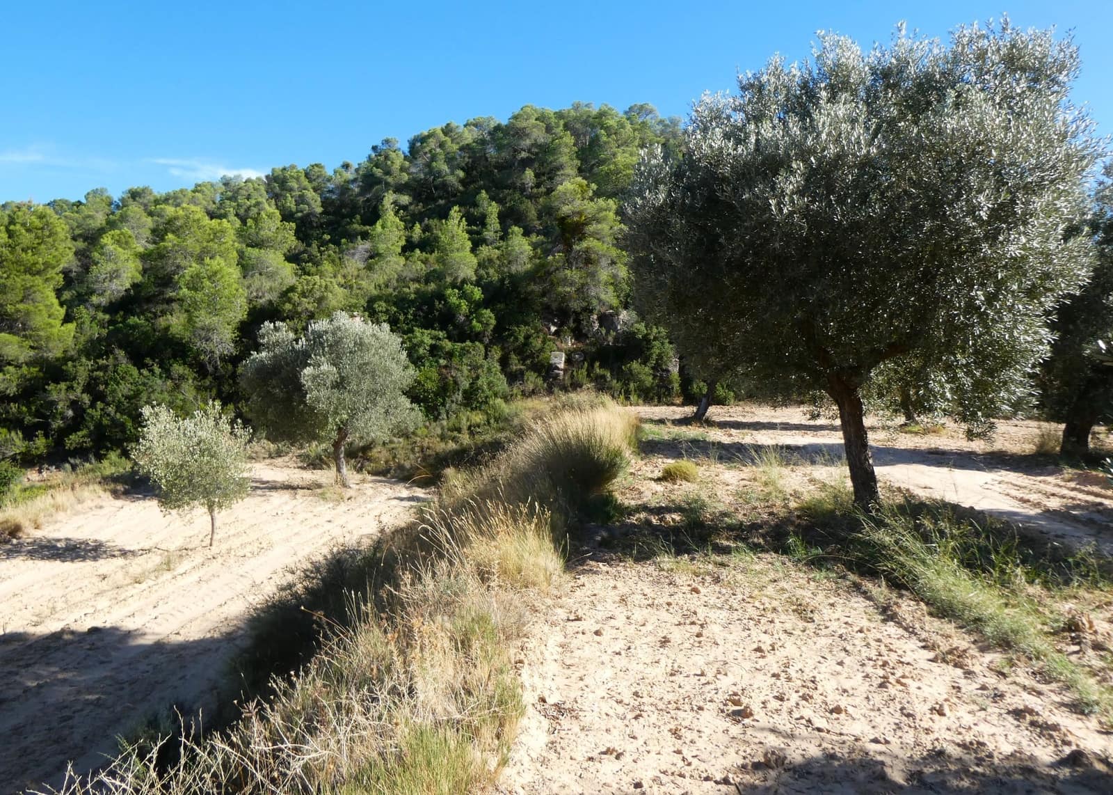 Finca/Landehus til salg i Maella - € 15.500 (Ref: 9263348)