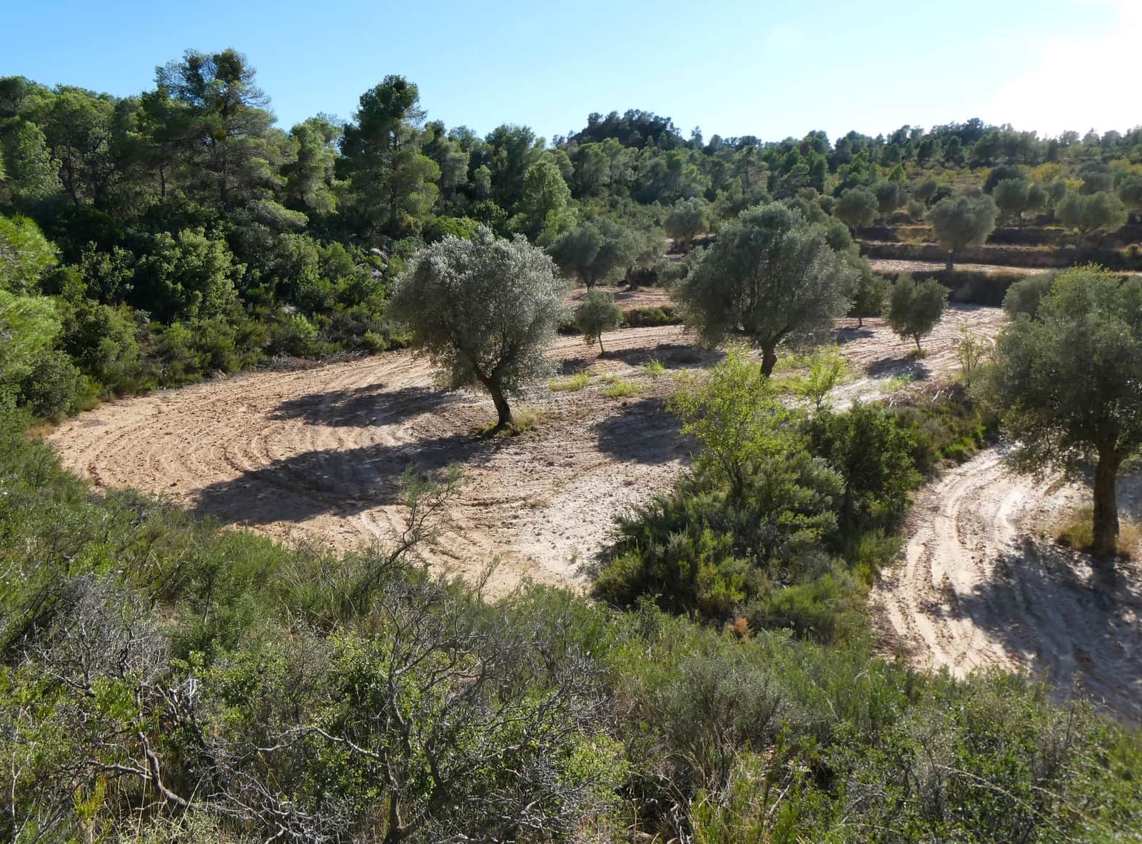 Finca/Landehus til salg i Maella - € 15.500 (Ref: 9263348)