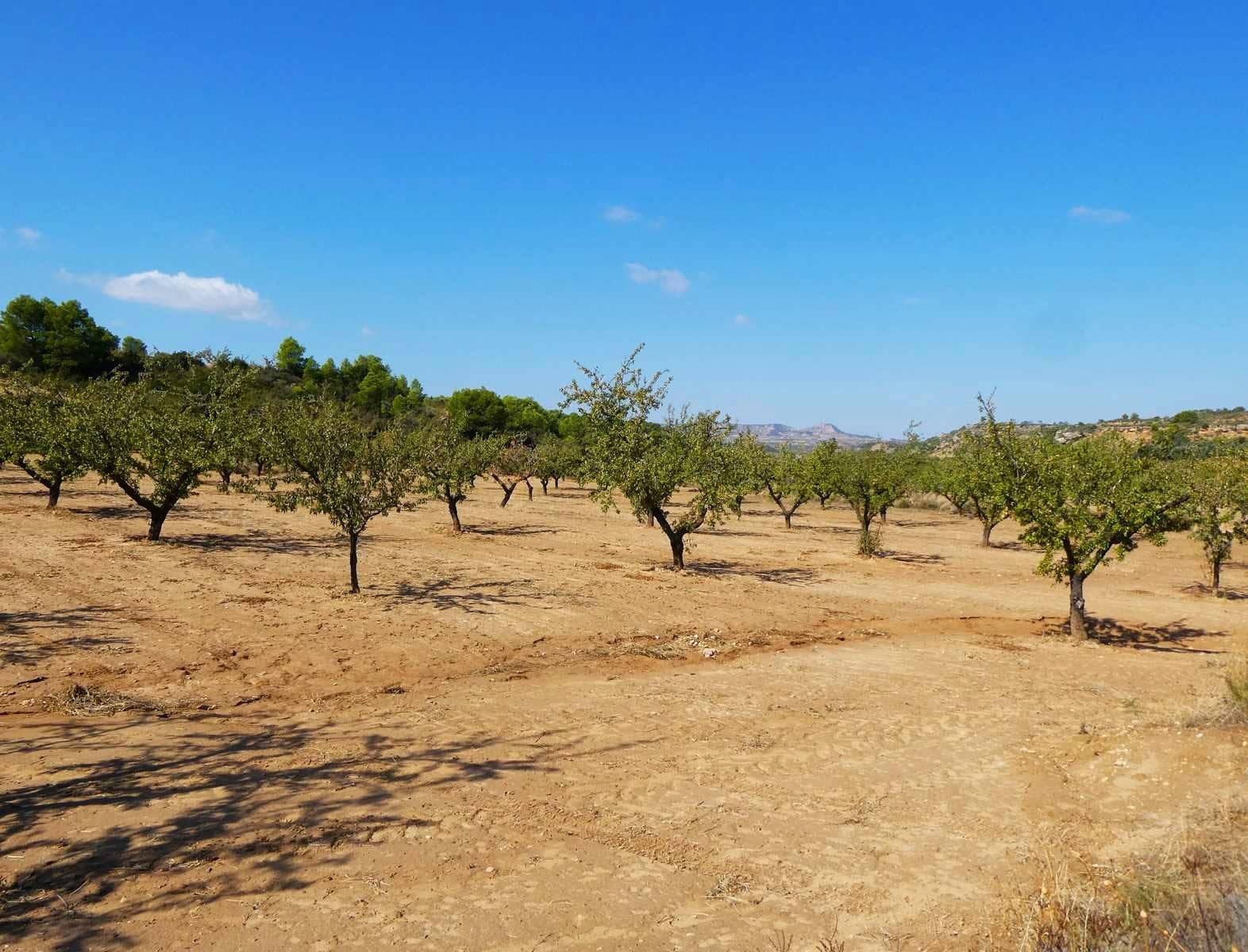 2 sypialnia Finka/Dom wiejski na sprzedaż w Maella - 77 000 € (Ref: 9329762)