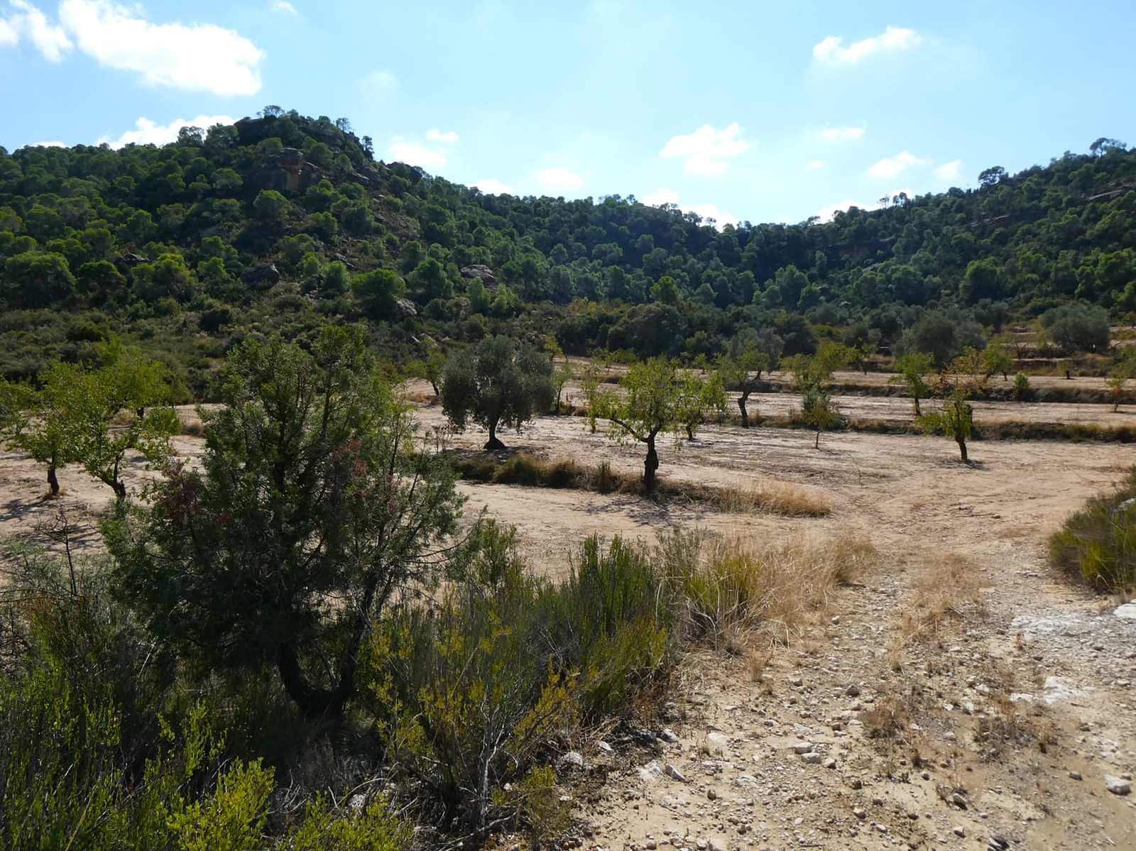 2 sypialnia Finka/Dom wiejski na sprzedaż w Maella - 77 000 € (Ref: 9329762)