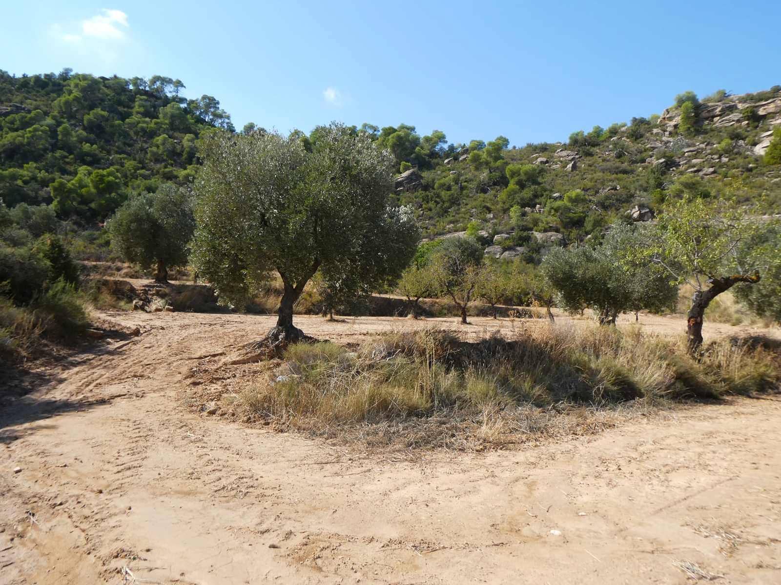 2 sypialnia Finka/Dom wiejski na sprzedaż w Maella - 77 000 € (Ref: 9329762)