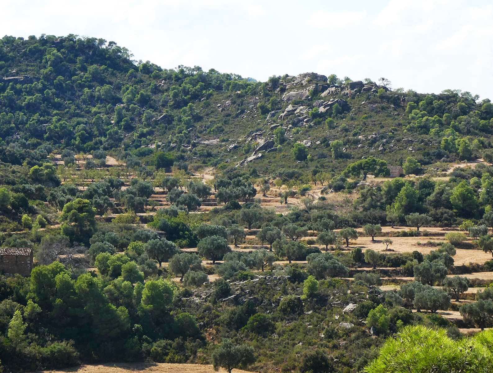 2 sypialnia Finka/Dom wiejski na sprzedaż w Maella - 77 000 € (Ref: 9329762)