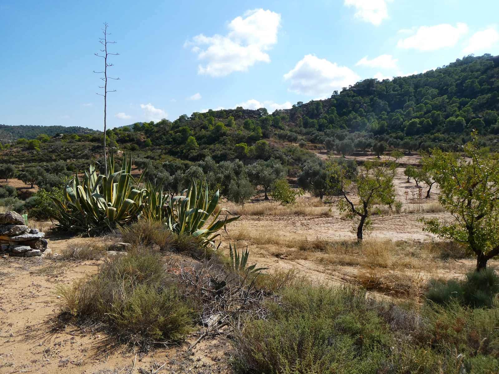 2 sypialnia Finka/Dom wiejski na sprzedaż w Maella - 77 000 € (Ref: 9329762)