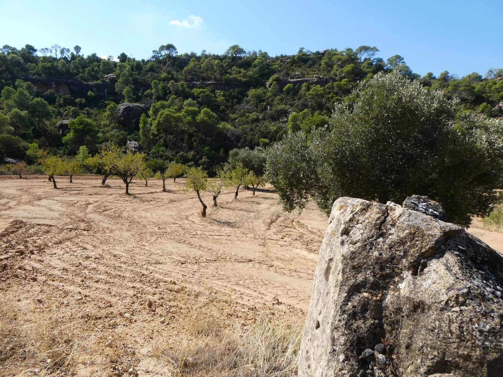 2 sypialnia Finka/Dom wiejski na sprzedaż w Maella - 77 000 € (Ref: 9329762)