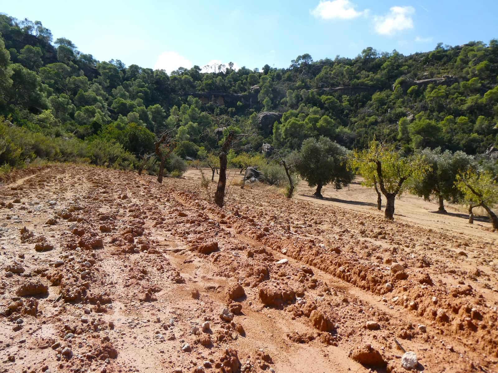 2 sypialnia Finka/Dom wiejski na sprzedaż w Maella - 77 000 € (Ref: 9329762)