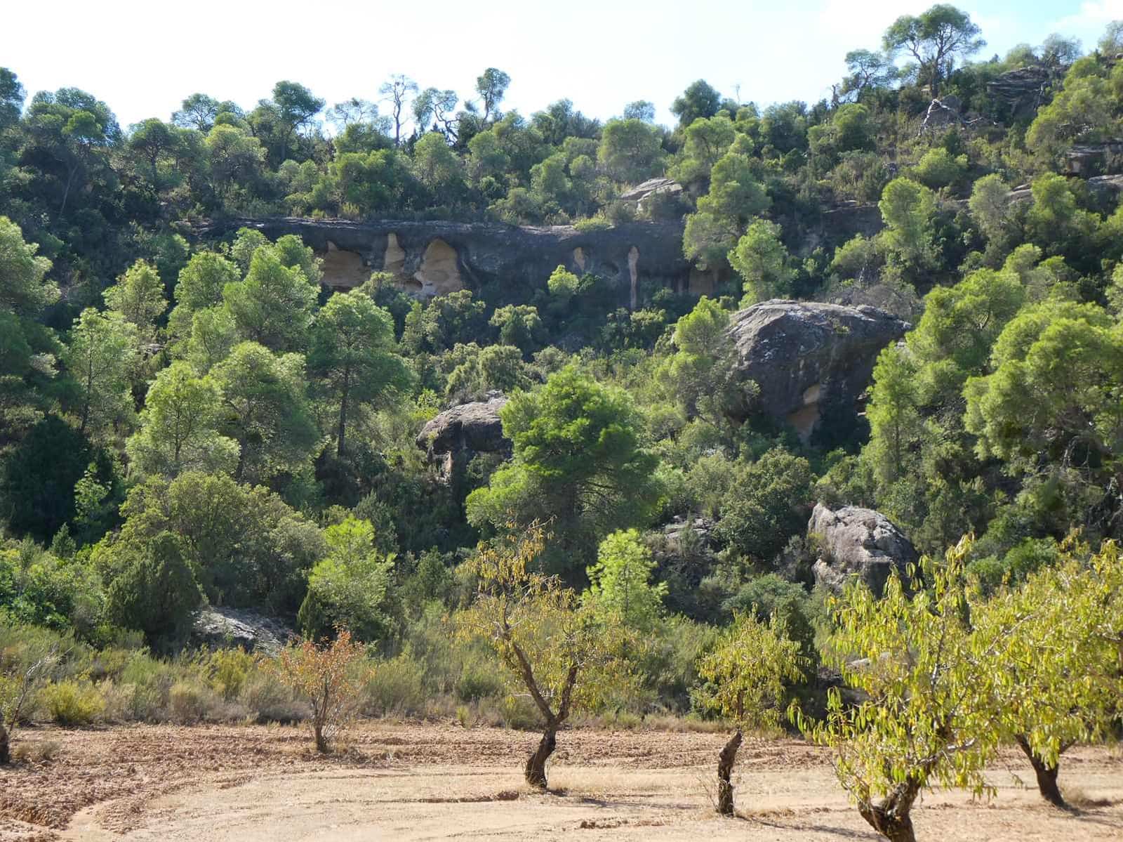 2 sypialnia Finka/Dom wiejski na sprzedaż w Maella - 77 000 € (Ref: 9329762)