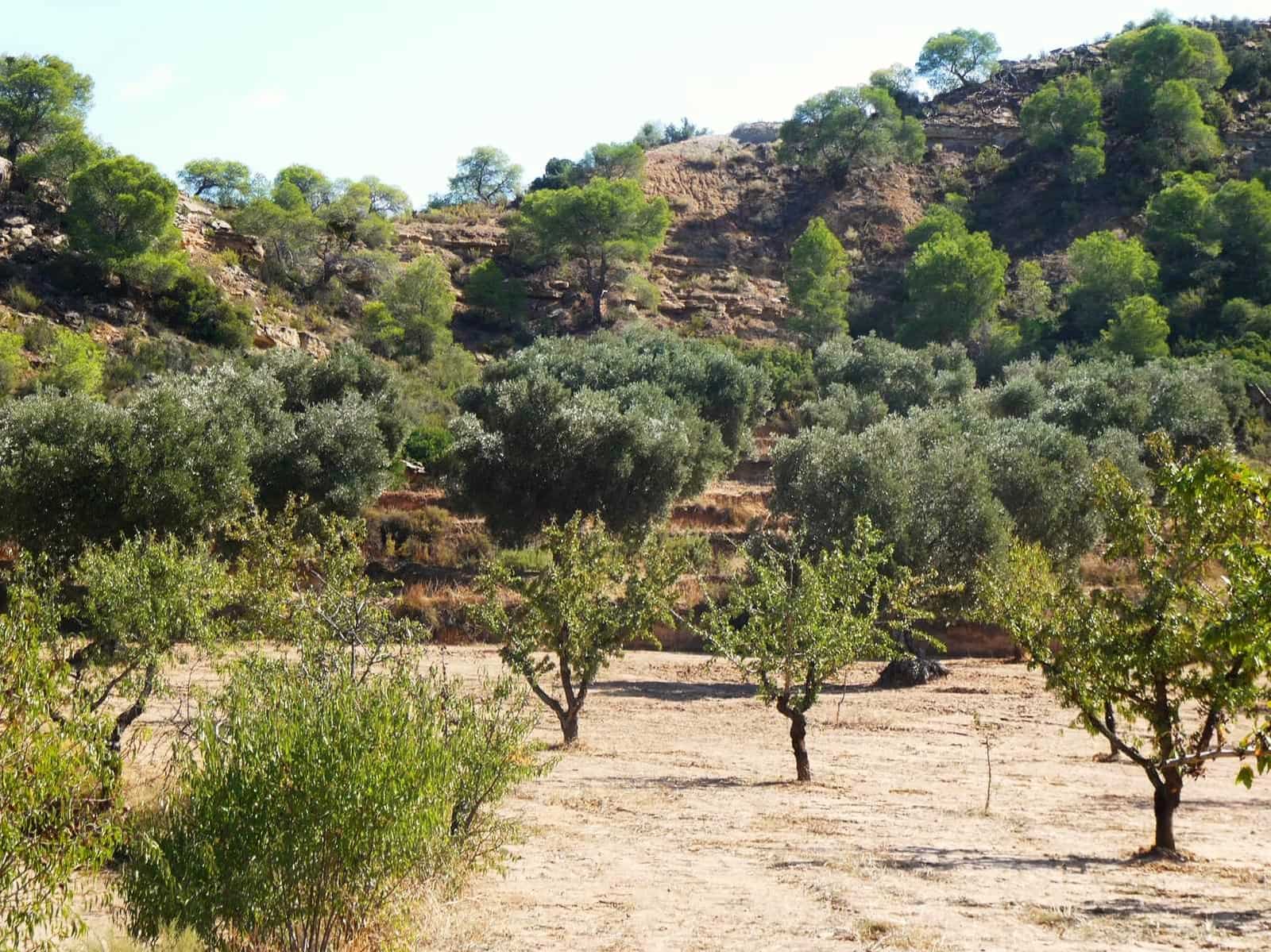 2 sypialnia Finka/Dom wiejski na sprzedaż w Maella - 77 000 € (Ref: 9329762)