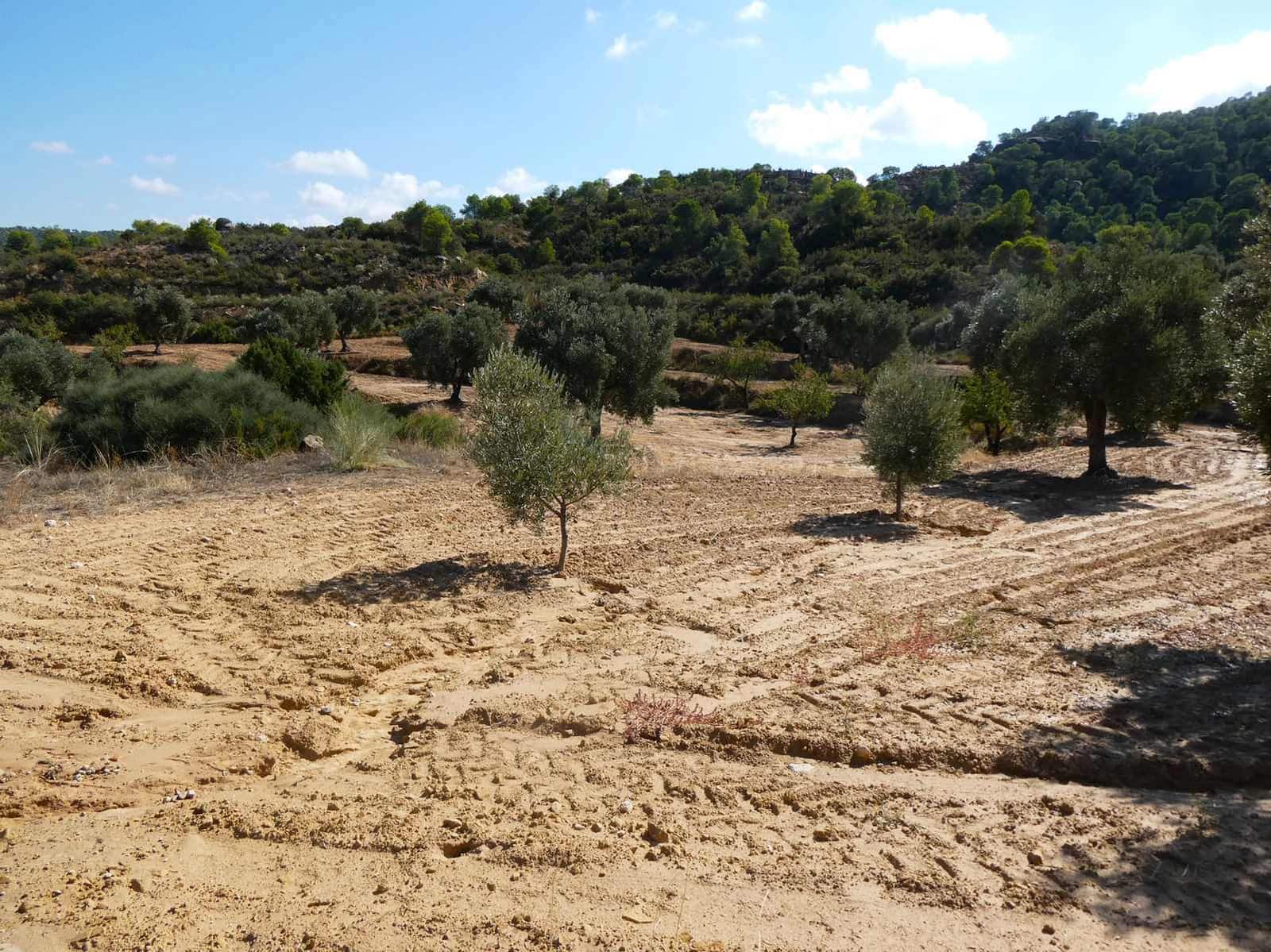 2 sypialnia Finka/Dom wiejski na sprzedaż w Maella - 77 000 € (Ref: 9329762)