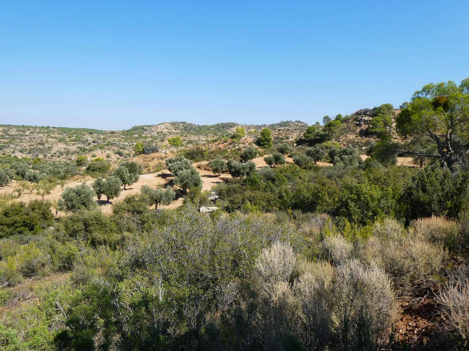 2 sypialnia Finka/Dom wiejski na sprzedaż w Maella - 77 000 € (Ref: 9329762)