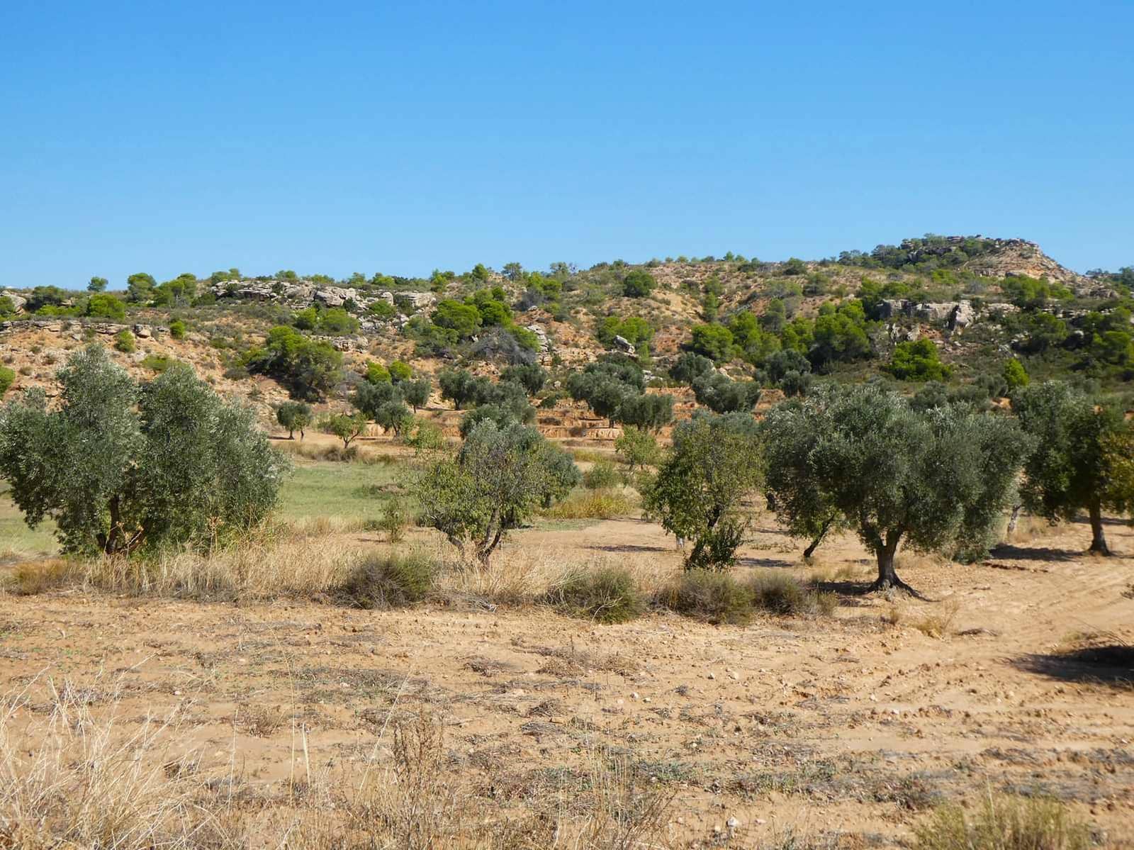 2 sypialnia Finka/Dom wiejski na sprzedaż w Maella - 77 000 € (Ref: 9329762)