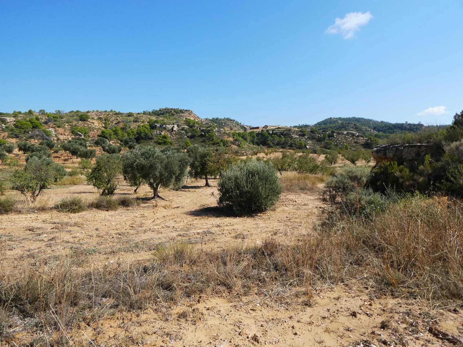 2 sypialnia Finka/Dom wiejski na sprzedaż w Maella - 77 000 € (Ref: 9329762)