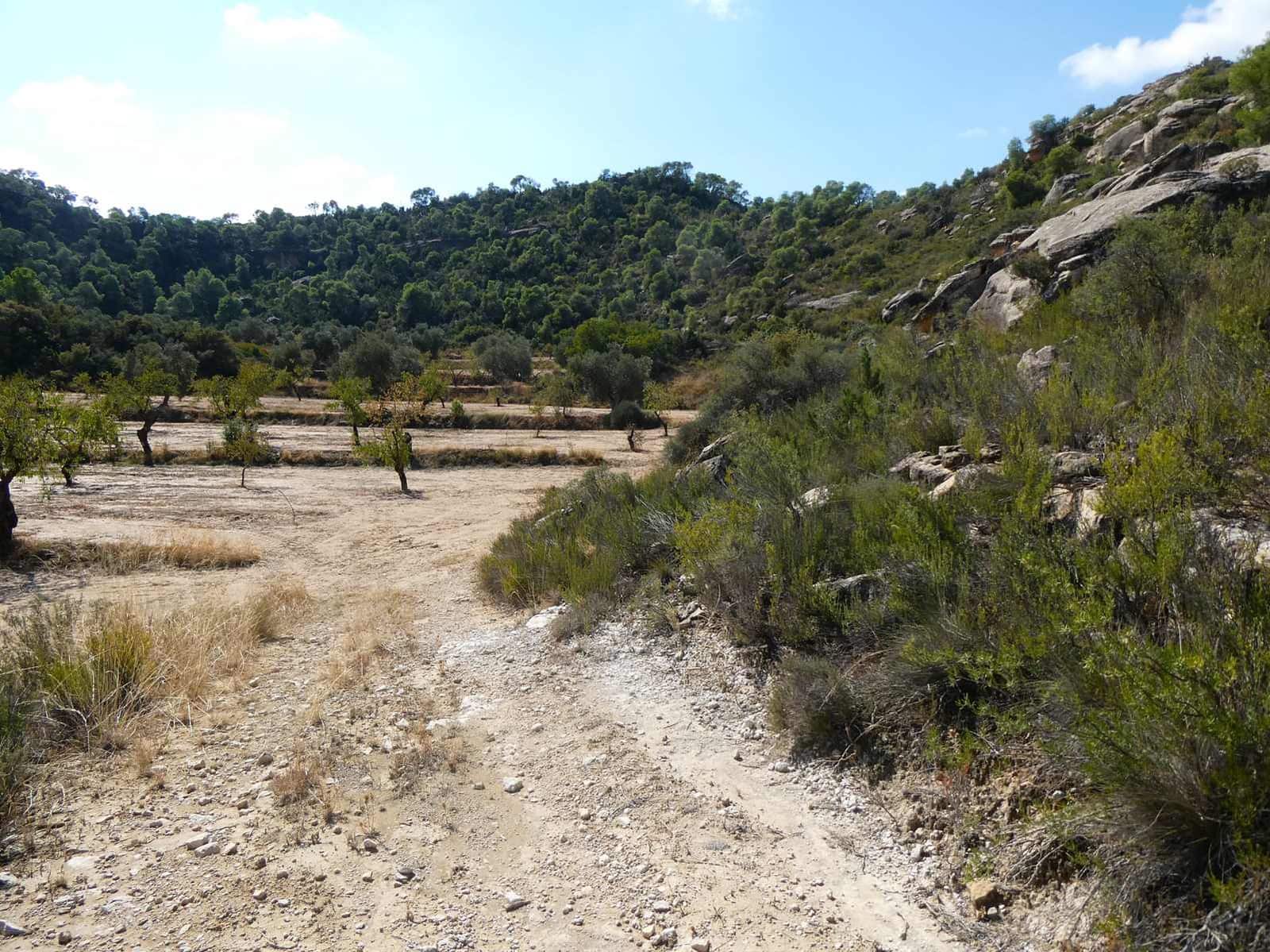 2 sypialnia Finka/Dom wiejski na sprzedaż w Maella - 77 000 € (Ref: 9329762)