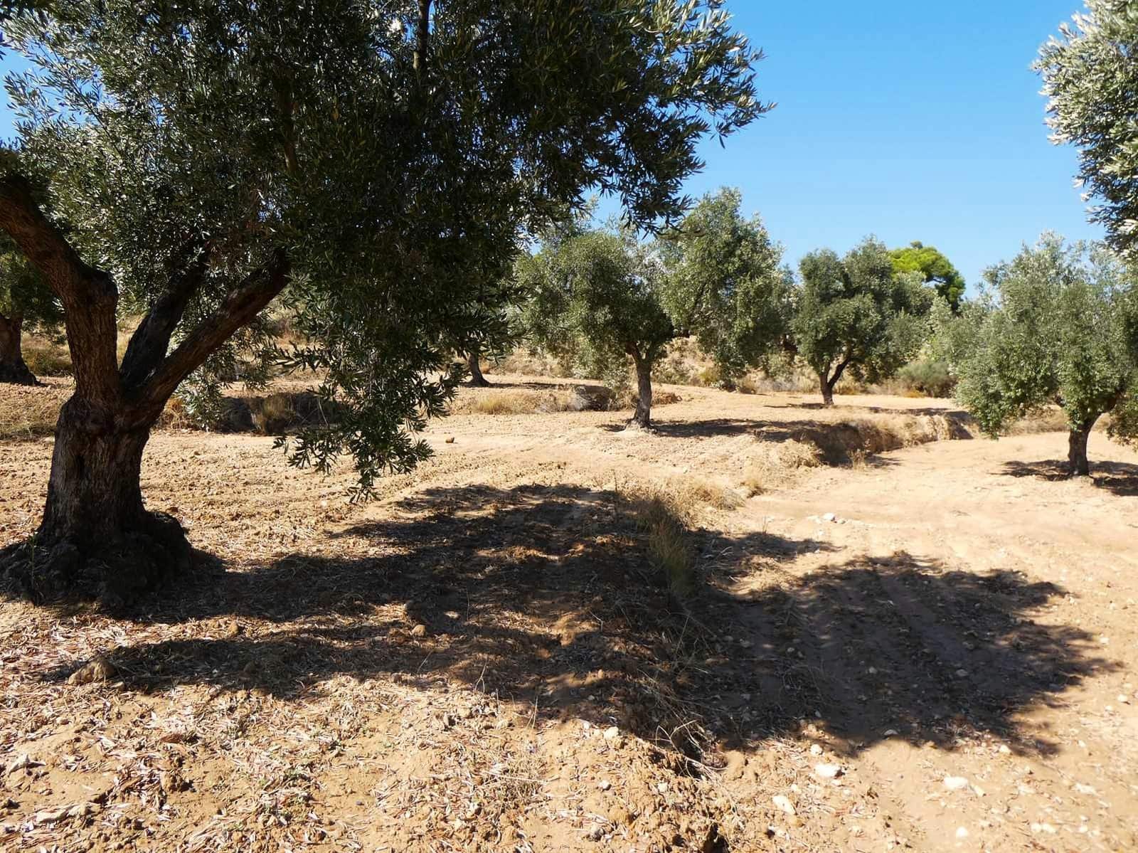 2 sypialnia Finka/Dom wiejski na sprzedaż w Maella - 77 000 € (Ref: 9329762)