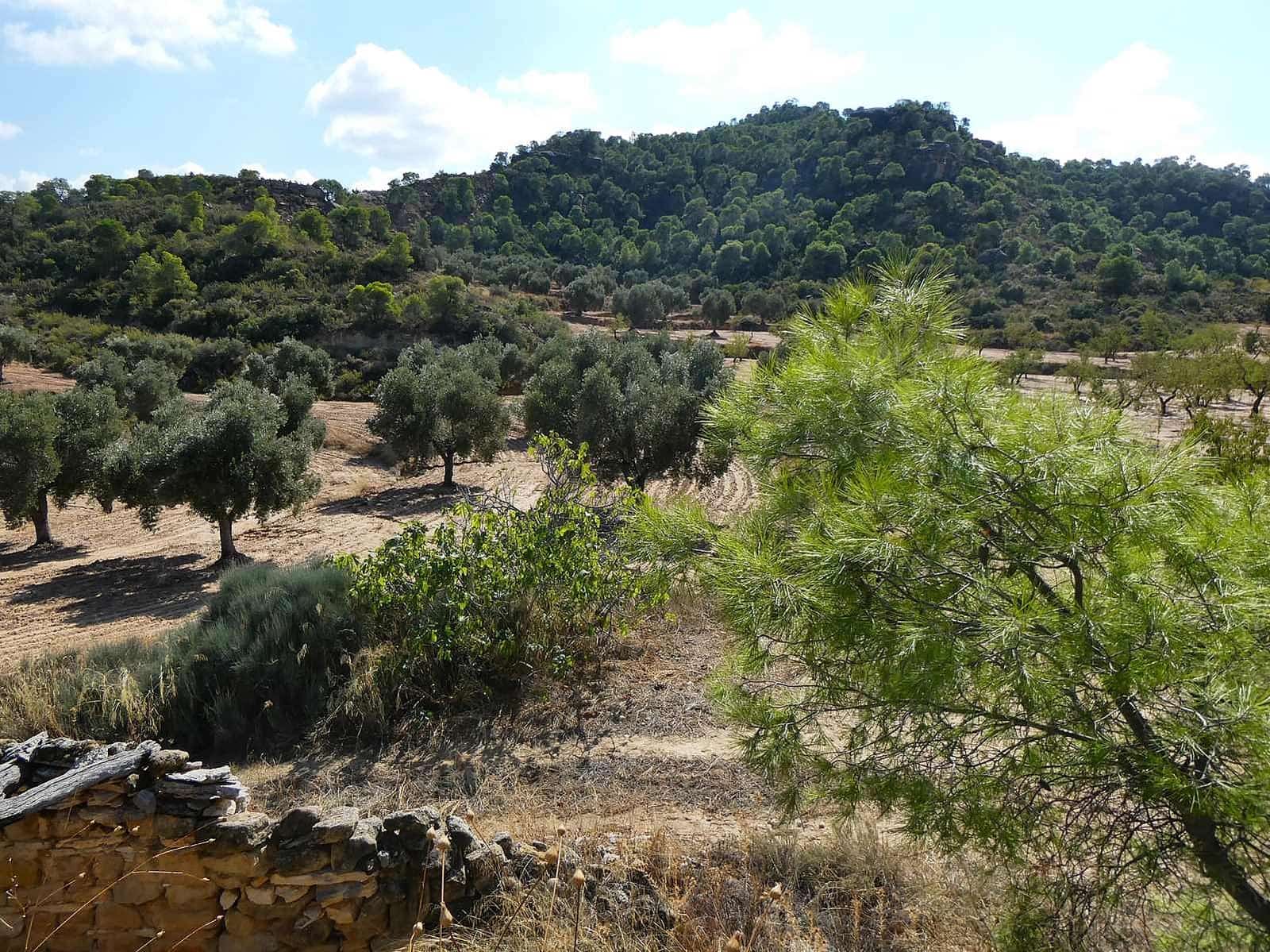 2 sypialnia Finka/Dom wiejski na sprzedaż w Maella - 77 000 € (Ref: 9329762)