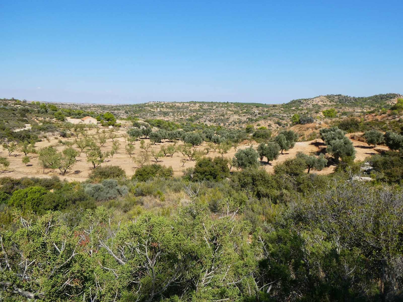 2 sypialnia Finka/Dom wiejski na sprzedaż w Maella - 77 000 € (Ref: 9329762)